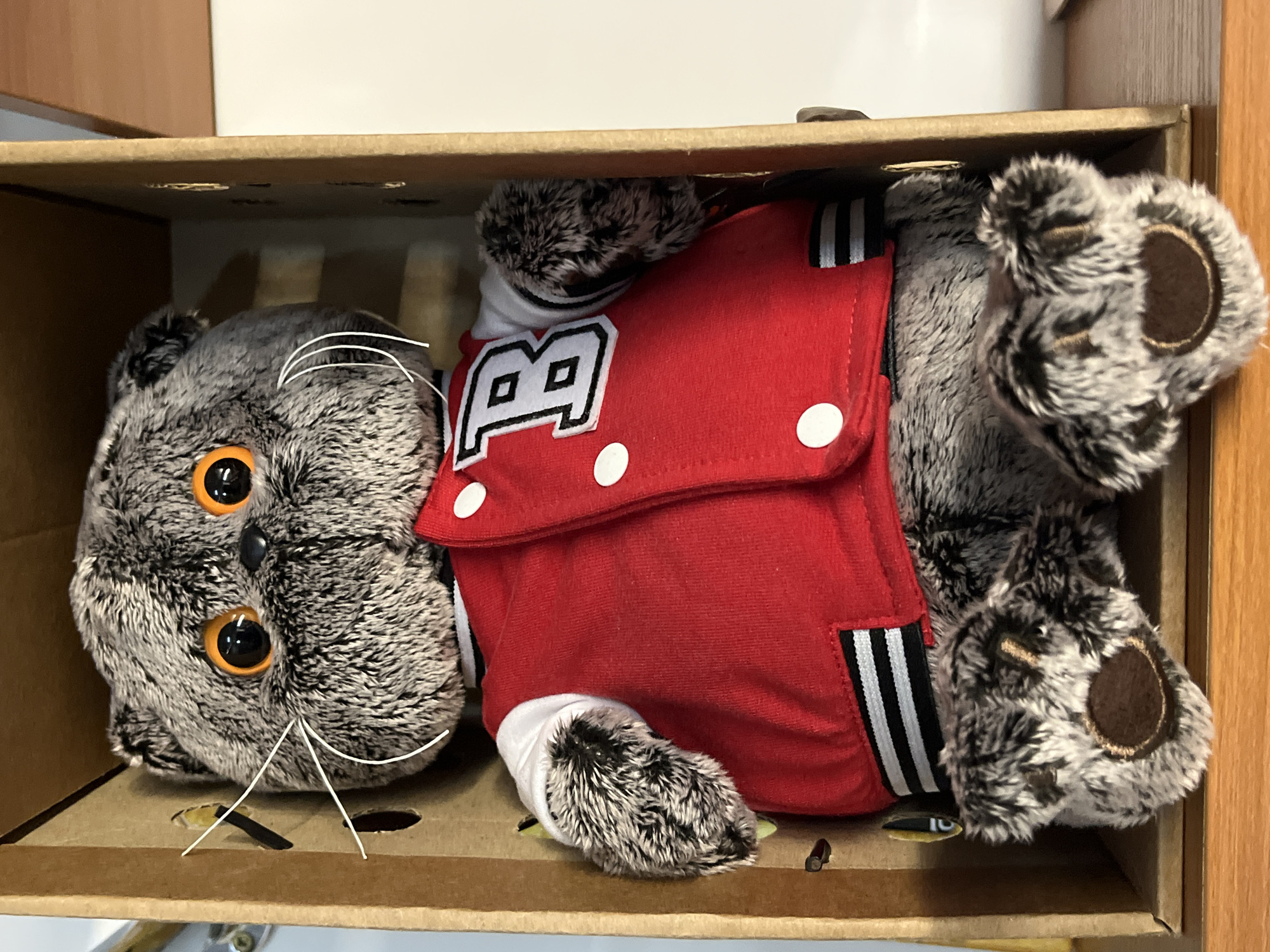 A plush grey and white cat, wearing a red jacket with the number 8 on it, is lying in a cardboard box. The cat has large orange eyes and white whiskers. The jacket has white stripes on the sides and white buttons. The box is made of brown cardboard. This image does not provide information about the location in the city of Kazan, Russia.