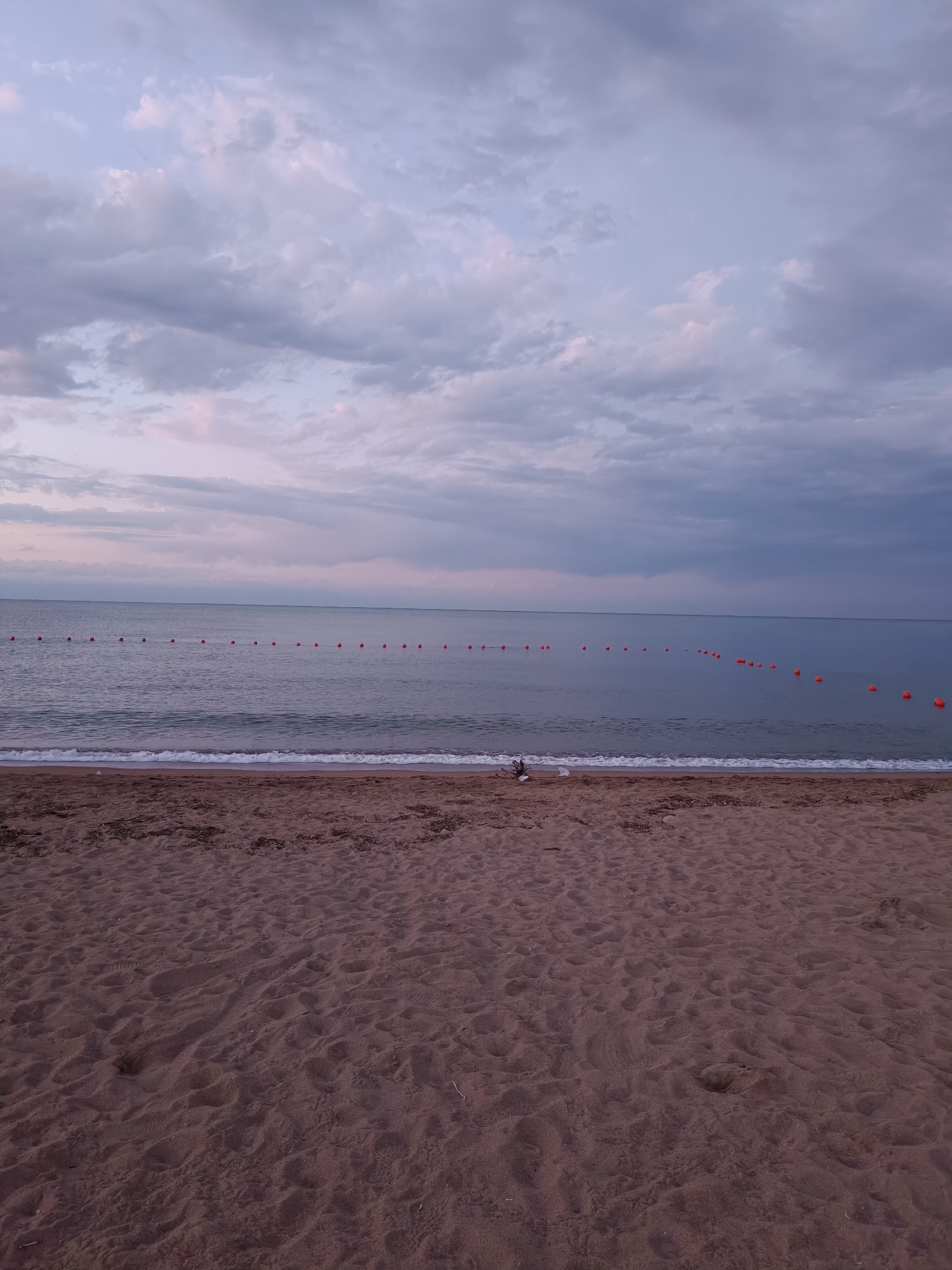 The image shows a beach scene with a calm body of water and a sandy shore. The sky is filled with soft, cloudy patterns in shades of purple and gray, suggesting either dawn or dusk. A line of red buoys stretches across the water, marking a boundary. The sand in the foreground is textured with footprints and scattered debris. A small bird stands near the water's edge. The location is identified as the city of Tong, Kyrgyzstan.