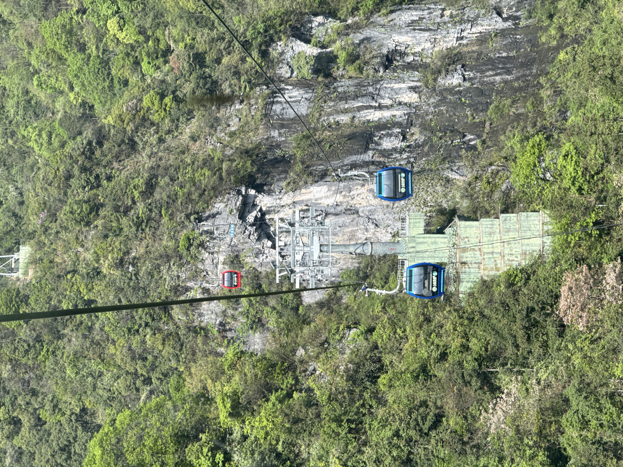 The image shows a section of the Tianmen Mountain Cable Car in Yongding District, Zhangjiajie, China. Two blue gondola cars and one red gondola car are suspended from the cable. The cable spans a densely forested mountainside with exposed rock formations. A cable car station with support structures is visible between the two blue gondolas. A green-colored stairway extends downward from a station to the right of the upper blue gondola.