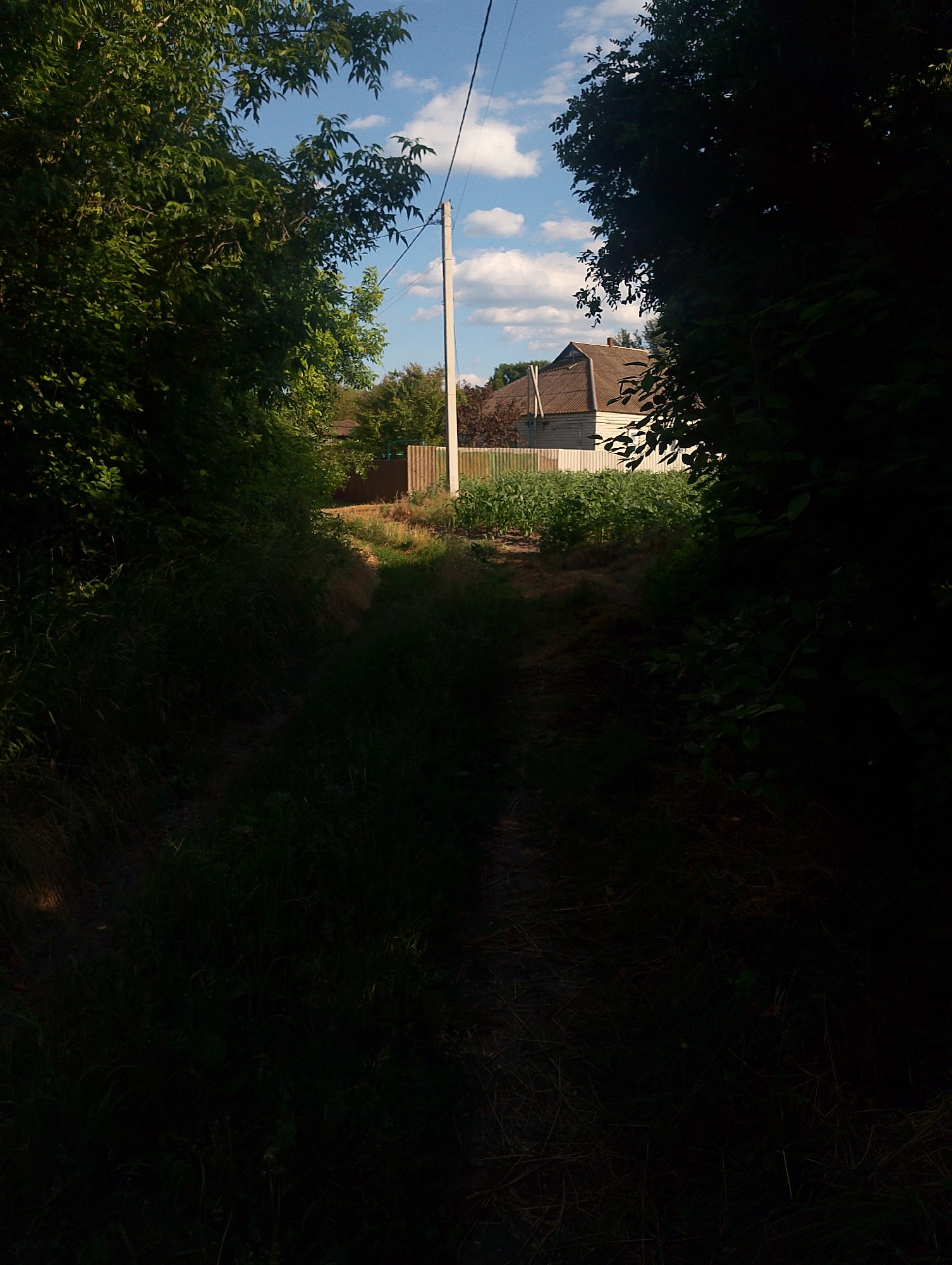 The image depicts a path bordered by lush green foliage, leading towards a dwelling with a sloped, shingled roof. A tall, white utility pole stands to the right of the path, supporting electrical wires that stretch across the frame. Beyond the dwelling, a fence and a garden of green crops are visible under a bright blue sky dotted with white clouds. The scene appears to be set in Ustyvytsia, Ukraine, likely during daylight hours. The foreground is heavily shadowed, obscuring details of the path and surrounding vegetation.