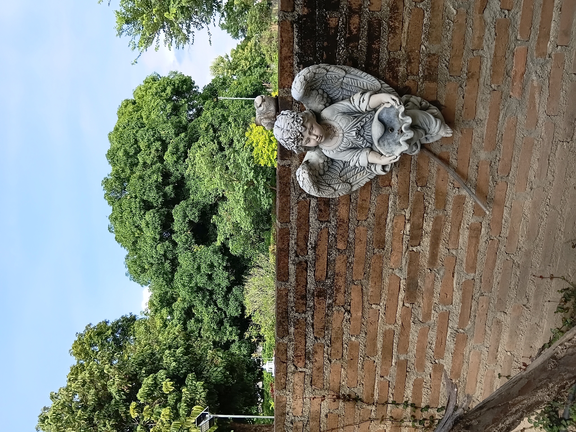 An outdoor, medium shot captures a stone angel statue attached to a brick wall in Ban Tong, Thailand. The angel, with feathered wings and a floral crown, appears to be holding a shell-shaped basin. The brick wall, aged and weathered, shows signs of moss growth. Behind the wall, a dense arrangement of lush green trees forms a backdrop under a bright blue sky. The scene is bathed in natural daylight, casting subtle shadows.