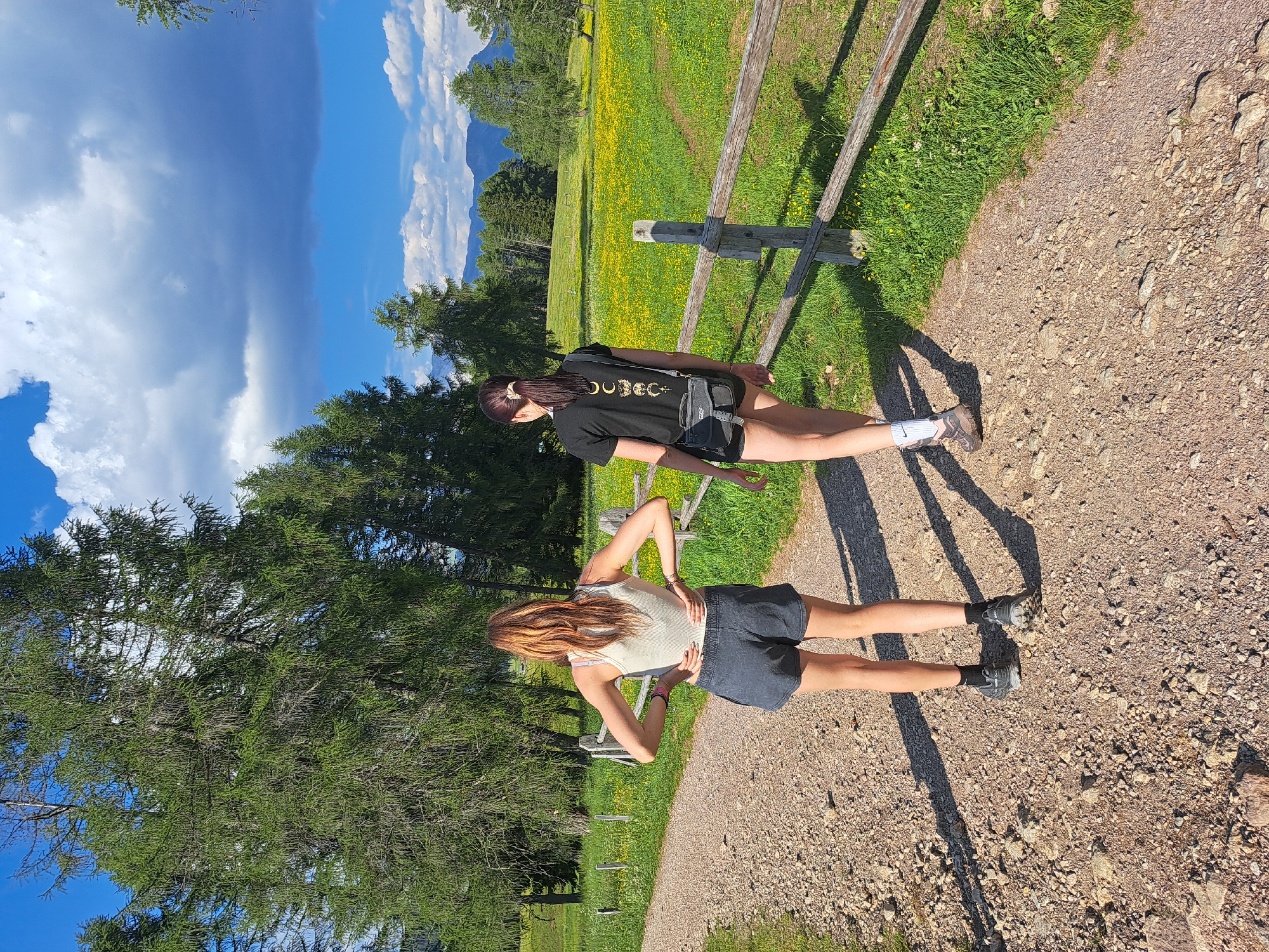 Two young women are engaged in some form of exercise on a gravel path outdoors. The woman in the foreground is wearing a light-colored tank top and dark shorts, with her hands on her hips. The woman behind her has on a black t-shirt with a gold graphic of moon phases and dark shorts. She is in a plank position, with her arms extended and her body parallel to the ground.
The scene is set in a mountainous area with a bright blue sky filled with white clouds. A grassy meadow dotted with yellow flowers stretches out behind a rustic wooden fence. Tall evergreen trees are visible in the background, and the sun casts long shadows across the path, suggesting it is daytime, likely late morning or early afternoon. The overall atmosphere appears to be one of activity and enjoyment in a natural, picturesque setting. There is no visible text other than the graphic on the t-shirt.