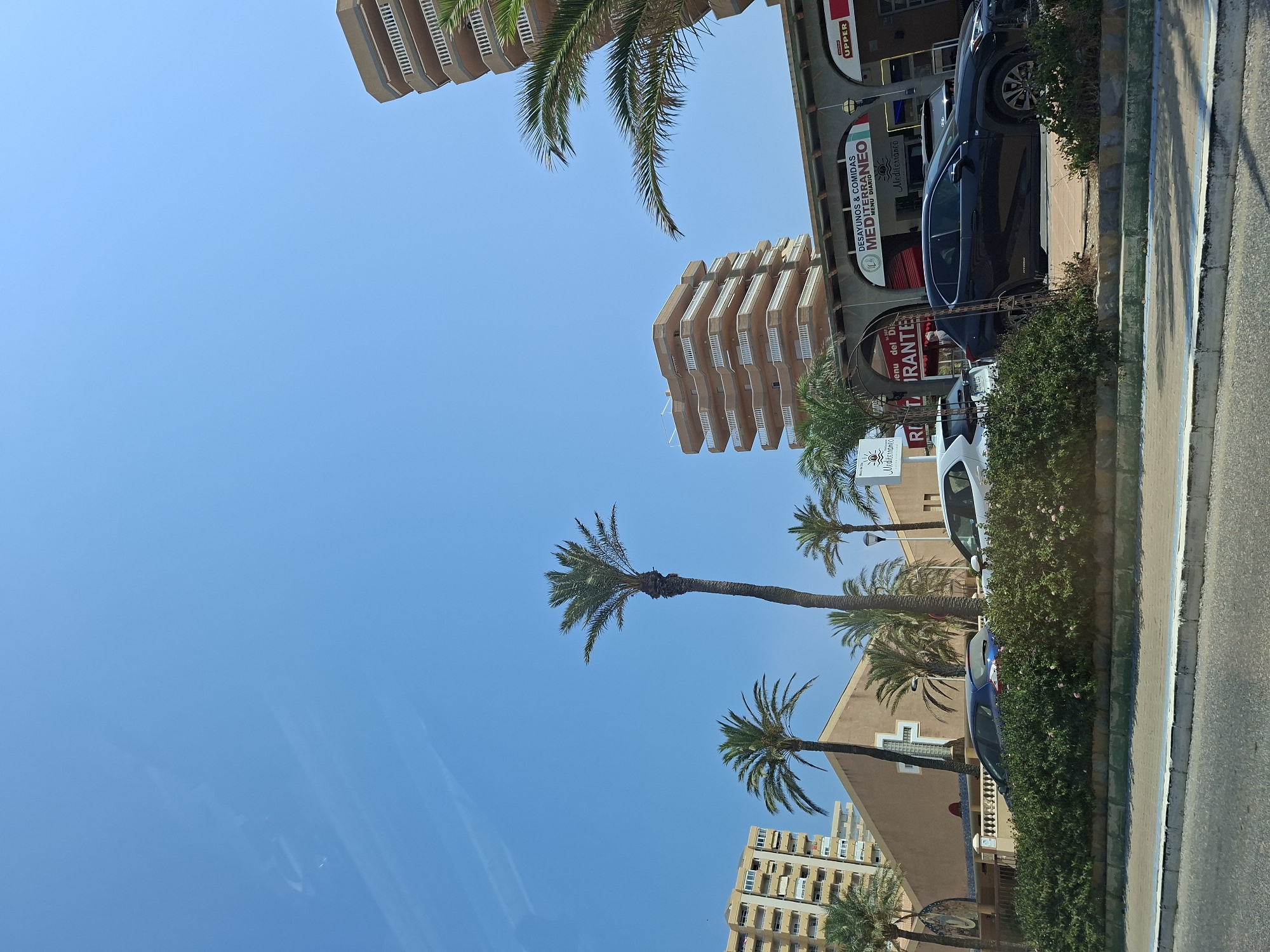 In San Javier, Spain, a sun-drenched scene unfolds with a clear blue sky overhead. Tall palm trees punctuate the landscape, their fronds rustling gently. Modern, multi-story buildings with beige facades and white balconies rise in the background. In the mid-ground, a row of shops and restaurants are visible, one with a sign that reads "DESAYUNOS & COMIDAS MEDITERRANEO MENU DIARIO." Cars are parked along the street, and a neatly trimmed green hedge lines the foreground. The overall impression is one of a bright, coastal urban environment.