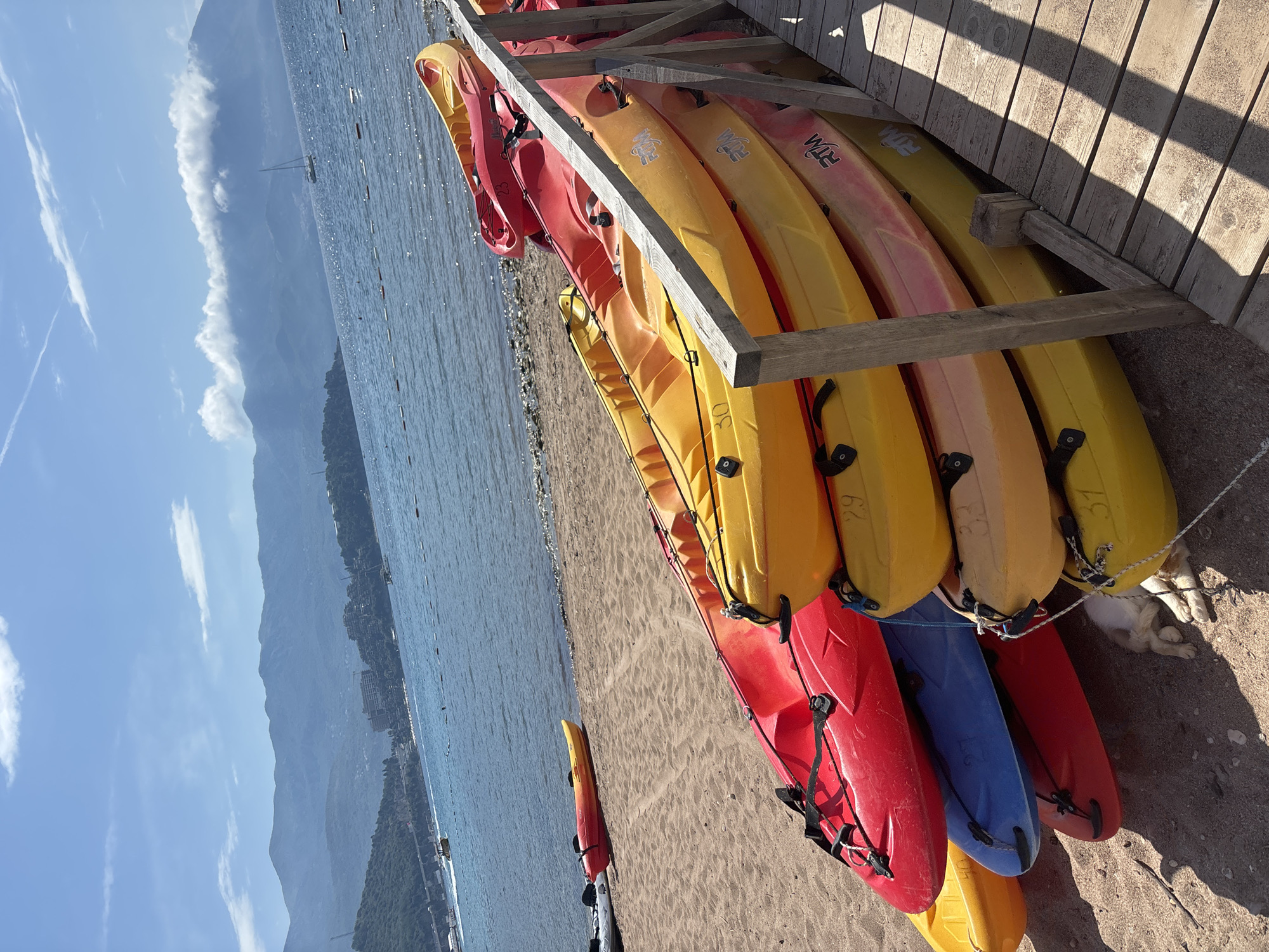 The image shows a stack of colorful kayaks arranged in a rack on a sandy beach. The kayaks are predominantly red and yellow, with a few blue kayaks interspersed. Some kayaks have numbers painted on them. The rack is made of wood. In the background, there's a body of water, likely the sea, with mountains visible in the distance. The sky is partly cloudy. The location is possibly Budva, Montenegro, given the typical landscape of the city. A dog is also visible amongst the kayaks.