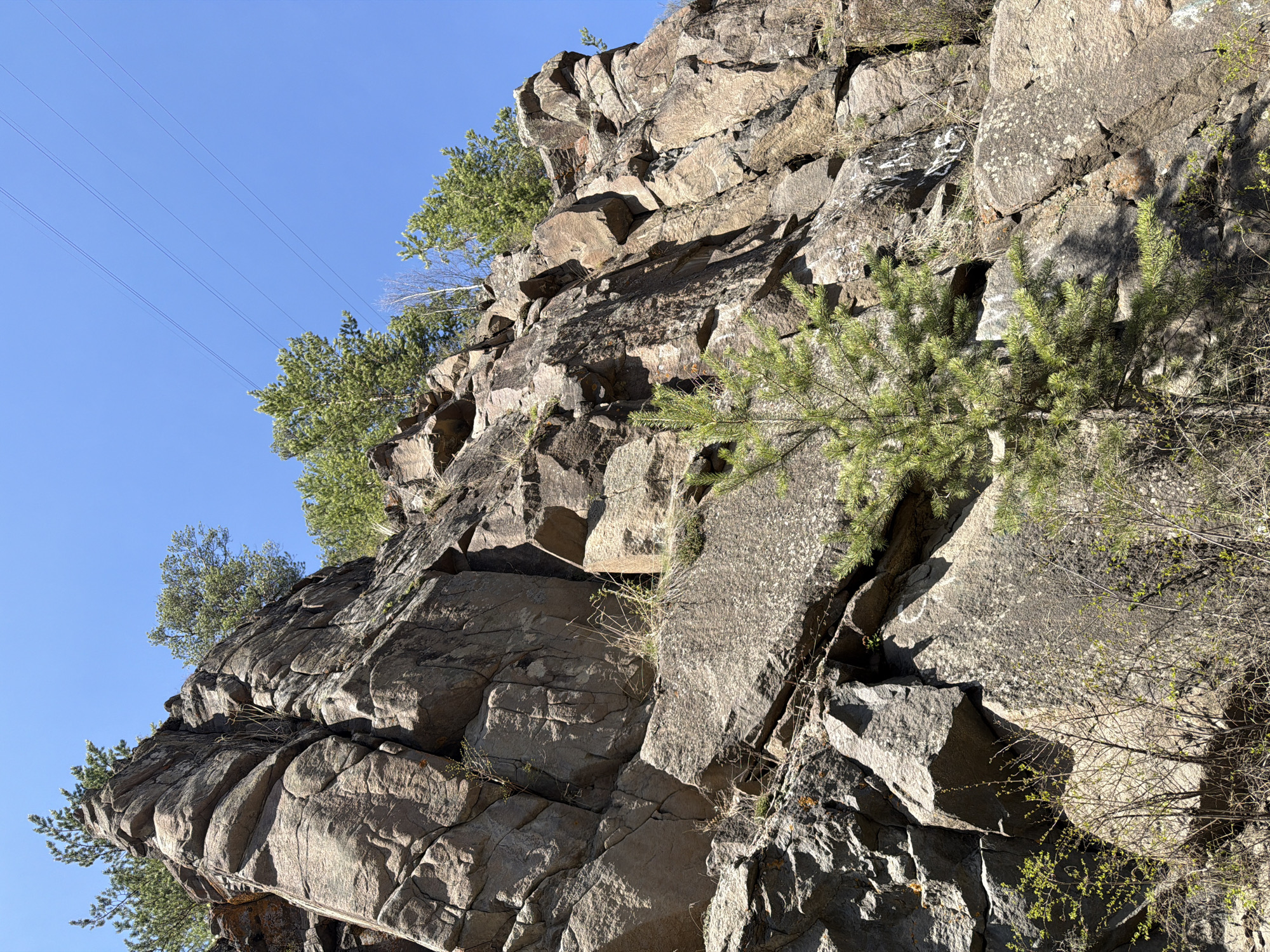 A low-angle shot of a craggy rock face with sparse vegetation. The rocks are shades of gray and brown, with visible layers and crevices. Green trees and shrubs grow out of the rocks, primarily at the top and sides of the formation. In the upper left, power lines run diagonally across the clear blue sky. The image appears to be taken during the day, with sunlight illuminating the rock face. The location is the city of Zheleznodorozhny, Russia.