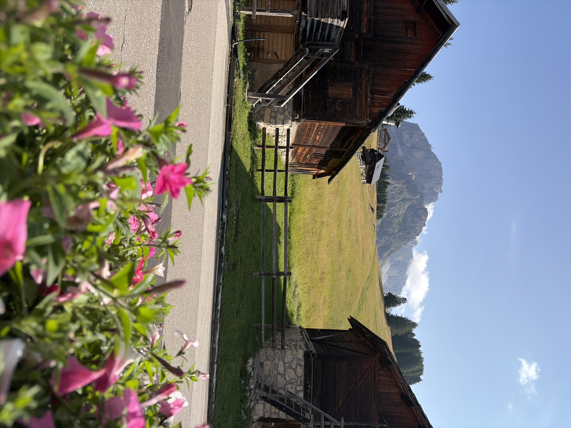 The image depicts a rustic scene in the mountainous region near Canazei, Italy. In the foreground, vibrant pink and magenta petunias bloom, partially obscuring a paved road. Behind the flowers, two traditional wooden barns with stone foundations stand on either side of the frame. A simple wooden fence separates the grassy area in front of the barns from a sloping meadow. Further back, a larger mountain range dominates the horizon, with some clouds hovering around its peaks. A few scattered trees dot the landscape, and a smaller wooden structure is visible on the hillside between the barns. The sky is clear blue with a few wispy clouds. The overall impression is one of a serene alpine setting.