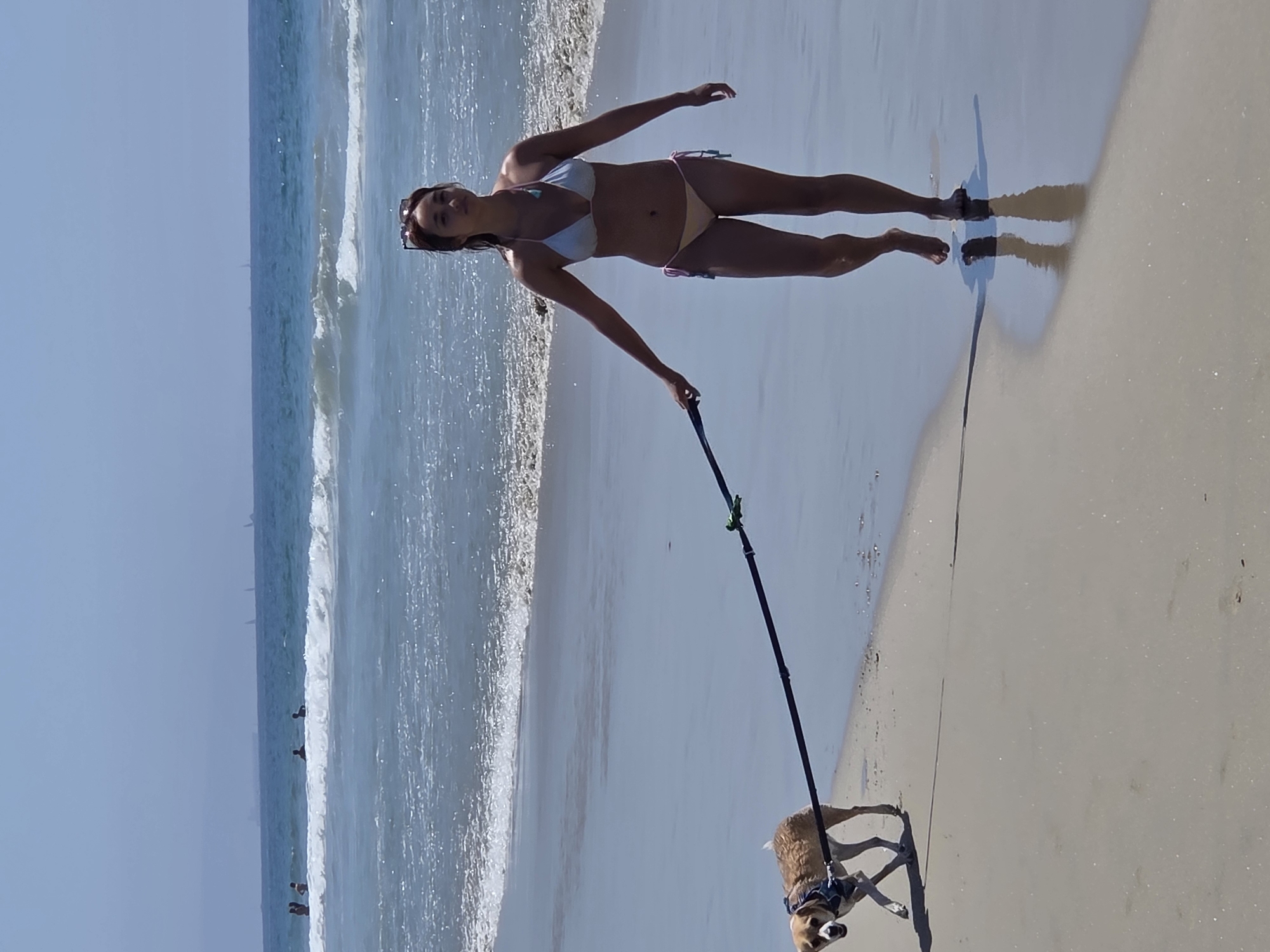 A woman in a bikini walks a dog on a leash along the shore of Santa Monica beach, California. The dog is on the woman's left, and the leash extends from the dog to the woman's left hand. The woman is facing towards the viewer, with her arms outstretched. The dog is facing left, with its mouth open. The ocean is in the background, with waves breaking on the shore. The sky is clear and blue. There are a few other people in the water in the distance, and some sailboats on the horizon.