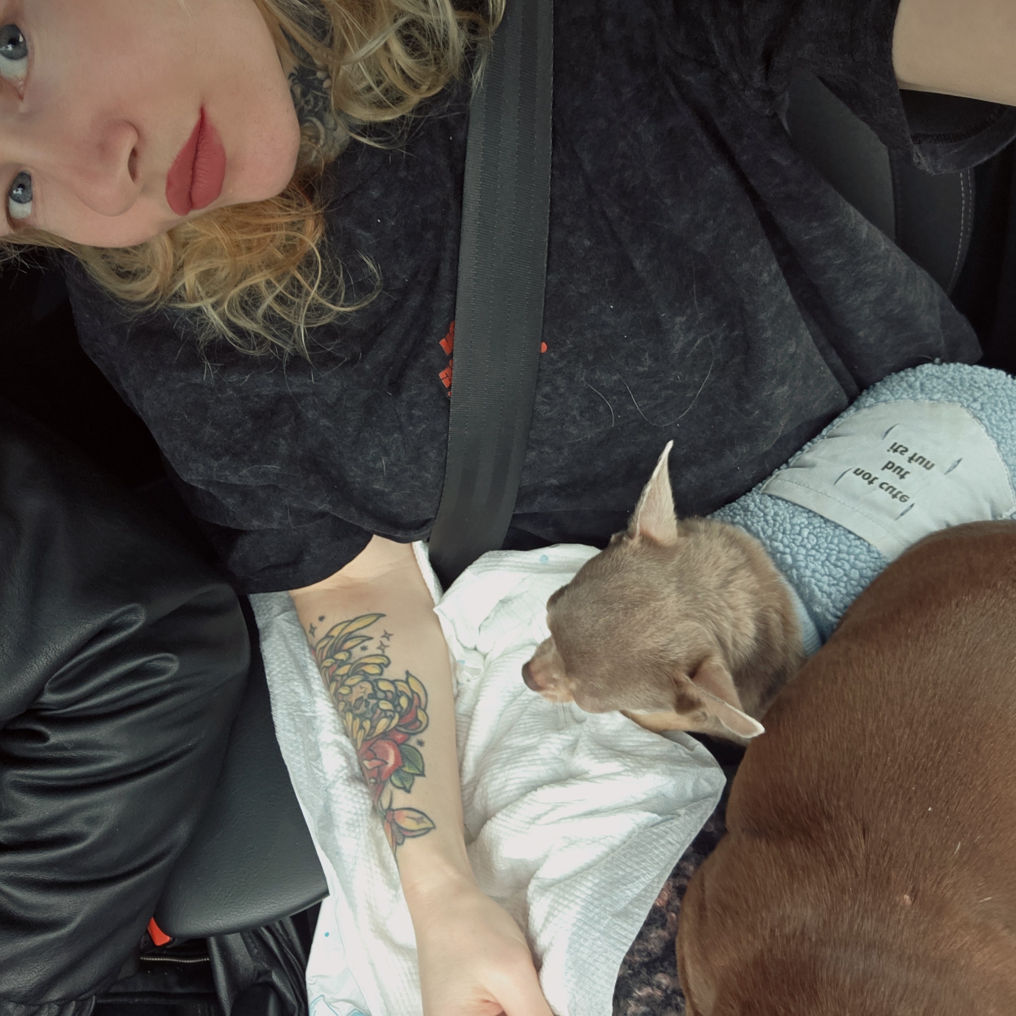 The image shows a woman in a car wearing a black shirt with a seatbelt on. She has blonde hair and visible tattoos on her left forearm. The woman is looking towards the camera. Two dogs are seated on her lap, one is tan colored, while the other appears to be brown. The smaller tan-colored dog is partially wrapped in a light blue soft fabric, with words written on it but they are unreadable. The location cannot be determined using the information provided.