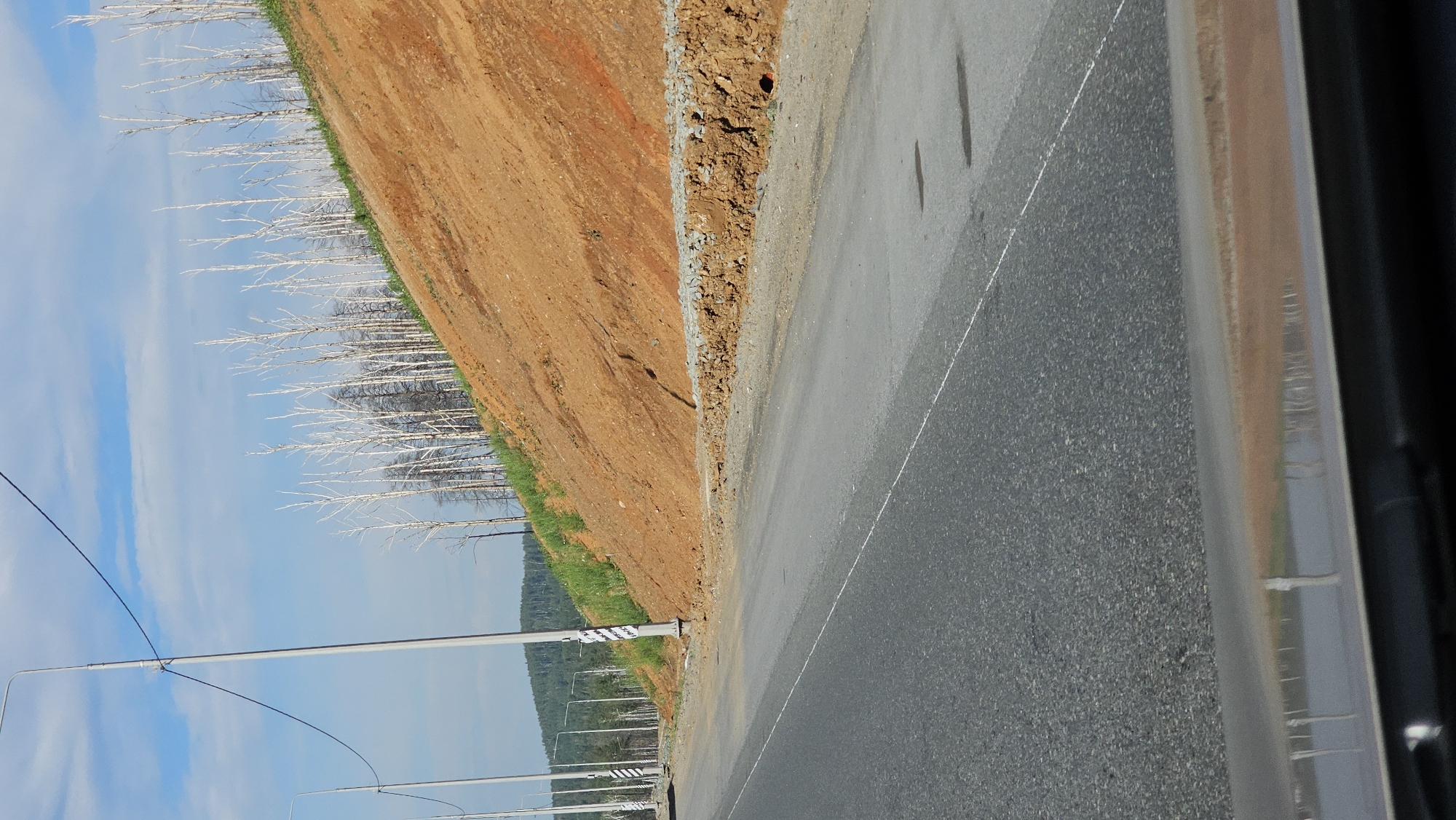 This is a photograph taken from a vehicle traveling along a paved road in Pervouralsk, Russia. The image is oriented vertically, suggesting it might have been captured from a side window or while the vehicle was moving sideways relative to the direction of travel. The road occupies the right side of the frame, with a white line marking the lane. To the left of the road, there is a steep, reddish-brown dirt embankment, appearing to be a construction or excavation site. The embankment is lined with grey stones at its upper edge.
Below the embankment, a line of bare, white trees stands silhouetted against a bright blue sky with wispy white clouds. These trees appear to be dead or have lost their leaves, possibly due to a past fire or winter conditions. Beyond the trees and embankment, a distant, hazy green landscape, likely forested hills, is visible. Several modern streetlights with visible fixtures are lined up along the road in the distance. The overall impression is of a rural or semi-rural roadside environment. The lighting suggests it is daytime, possibly late morning or early afternoon, given the brightness of the sky. There is no visible text in the image.