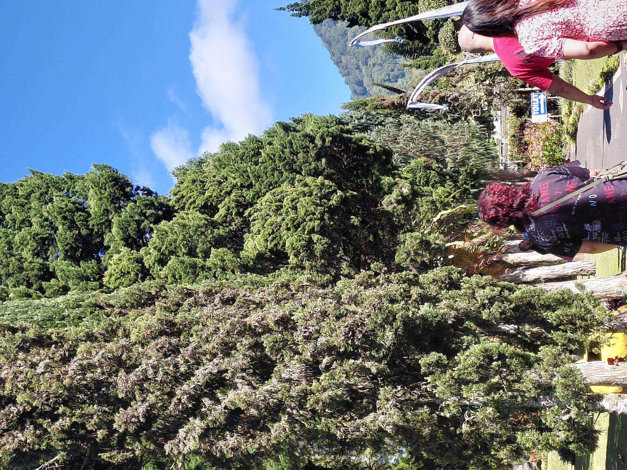 In Baturiti, Indonesia, a paved pathway leads through a park-like setting dominated by tall, dense evergreen trees. The sky is a clear blue with a few scattered white clouds. In the foreground, the back of three individuals are visible walking away from the camera. The person in the center, wearing a dark shirt with white lettering and carrying a light-colored crossbody bag, is facing away from the camera. To their right, a person in a bright red t-shirt is walking. On the rightmost side, a person with long dark hair, wearing a patterned pink and white dress, is also walking away from the camera. In the background, a sign with a blue background and white text indicates "TOILET" with an arrow pointing to the right. Beyond the pathway, there are flowering bushes and more trees, with a mountainous landscape visible in the distance. White, curved flags on poles are also present.