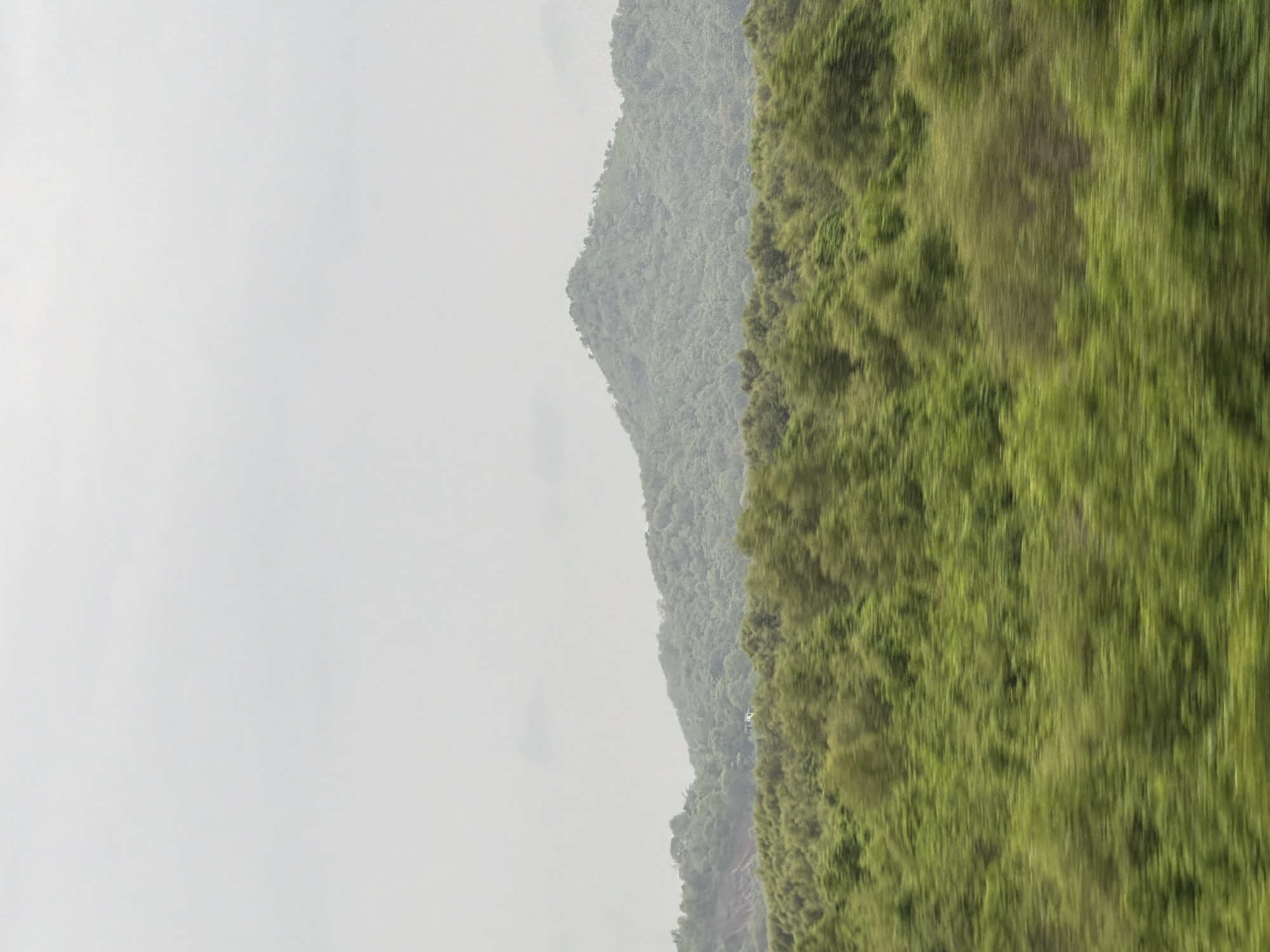 The image captures a hazy, verdant landscape dominated by lush green foliage and a distant, tree-covered mountain under a pale, overcast sky. The foreground exhibits a blur of green, indicating motion, likely from a vehicle. This blurred effect suggests a view captured from a moving train or car. In the middle ground, a dense, undulating forest stretches across the frame, its trees a vibrant green. Behind this, a mountain rises, its slopes also thickly carpeted with trees, though appearing slightly muted due to distance and atmospheric conditions. A small, white building can be faintly discerned nestled amongst the trees on the mountain's slope. The overall impression is one of natural beauty, with the soft lighting and diffused details contributing to a serene, almost dreamlike atmosphere. The scene is consistent with the lush, hilly terrain found in and around Vasai-Virar, India, a region known for its green cover and proximity to the Western Ghats mountain range.