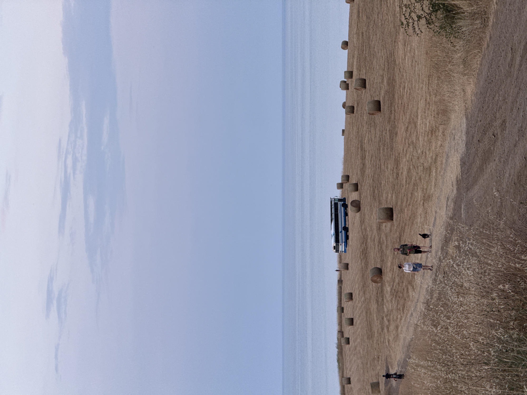 In the city of Varvara, Bulgaria, a wide shot captures a serene coastal landscape under a pale blue sky with sparse clouds. The horizon is defined by the calm, blue sea meeting the sky. In the foreground, a field of dry, golden grass is dotted with numerous round hay bales. A dirt path winds through the field.

On the path, two people are walking with a small black dog. The man wears a green shirt and dark shorts, while the woman wears a white top and a blue skirt. Further in the distance, on the field, a blue and white bus is parked. A lone figure can be seen standing near the bus, and another individual is riding a bicycle to the left of the frame. The overall scene suggests a peaceful, rural setting with a hint of human activity.