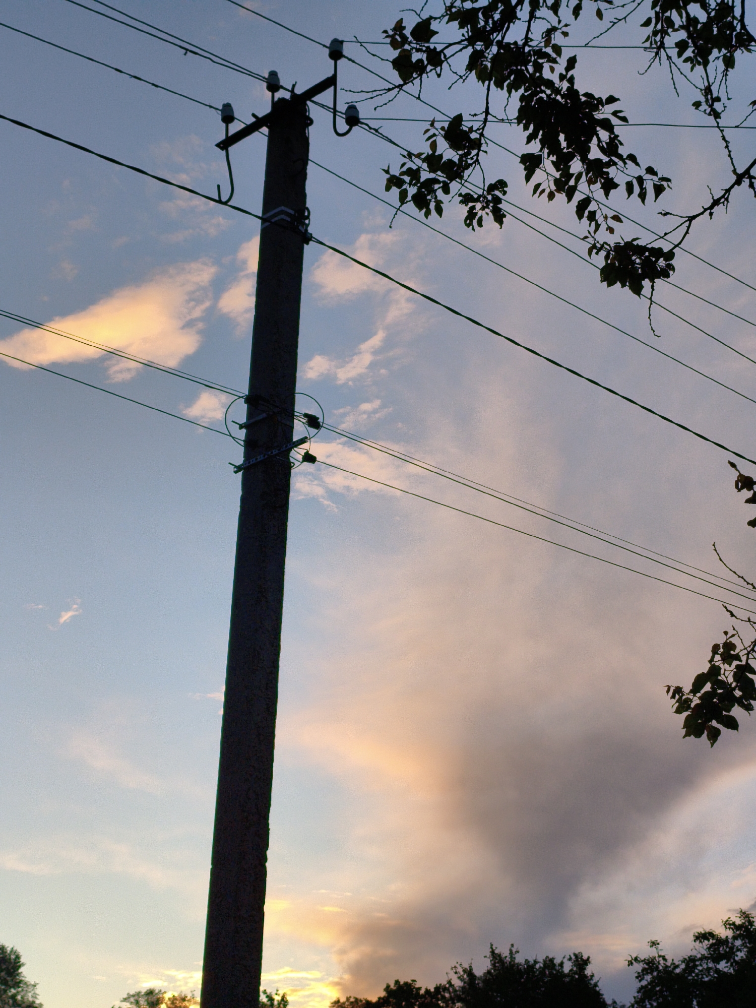 A low-angle shot shows a utility pole with wires against a twilight sky, likely in Ustyvytsia, Ukraine. The pole is concrete, with hardware attached for the wires. Branches with leaves are visible at the right edge of the frame, both top and bottom, partially obscuring the sky. The sky is a mix of blue, white, and peach hues from the setting sun. The bottom edge of the image shows the silhouette of trees against the bright horizon.