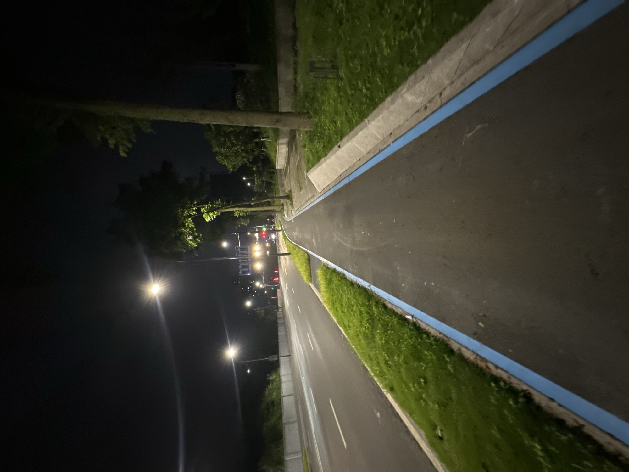 An asphalt bike lane with a blue painted edge runs diagonally from the bottom right to the top left of the frame. The lane is bordered by a grass strip with a concrete curb and then a concrete wall. To the left of the wall is a multi-lane road with white lane markings, also at night. Streetlights illuminate the scene. Several trees line the right side of the bike lane. In the distance, traffic lights and building lights are visible. The image appears to be taken in the Chongqing High-tech Zone, China. There are no people or animals visible.
