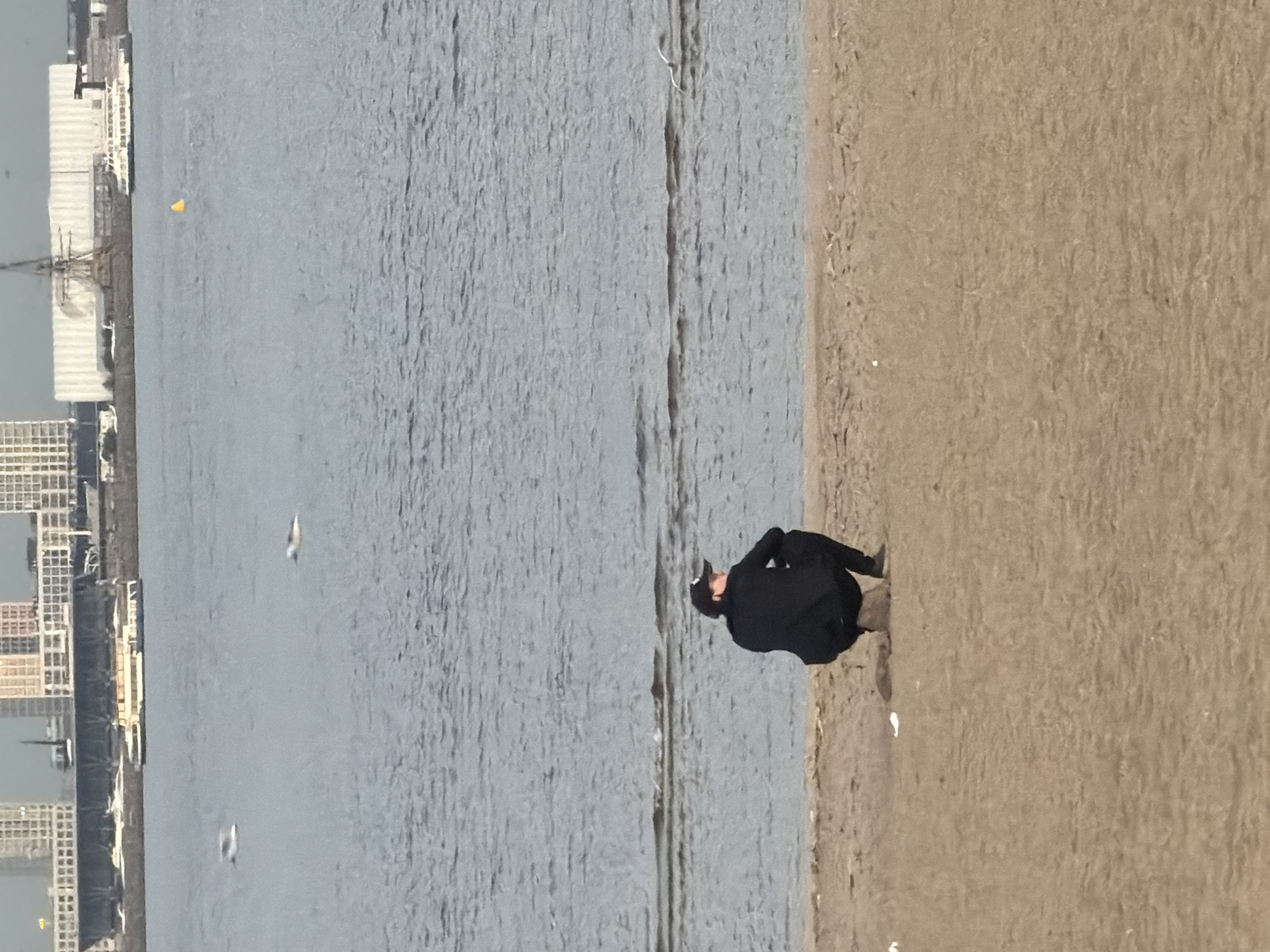 The image depicts a daytime scene at a waterfront, with a person on a sandy bank next to a body of water, likely a river or bay in Saint Petersburg, Russia.
In the foreground, a solitary individual dressed in dark clothing, including a jacket or hoodie and a cap, is crouched or bending down on the light brown, textured bank. The person's back is mostly to the viewer, and they appear to be focused on something on the ground directly in front of them or at the water's edge.
The body of water, which extends across the middle and background of the image, is a muted grey-blue, exhibiting ripples and textures on its surface, suggesting movement. A distinct line separates the water from the bank.
Across the water, in the far background, an urban or industrial skyline is visible. It features several multi-story buildings, some with prominent white rooftops, and structures that resemble docks or moored boats along the distant shore.
Several birds are present in the scene: one is flying low over the water in the mid-ground, and another is seen floating on the water further away. A small, bright yellow object, possibly a buoy or marker, is also visible floating in the water.
The lighting indicates clear daytime conditions. There is no visible text in the image.