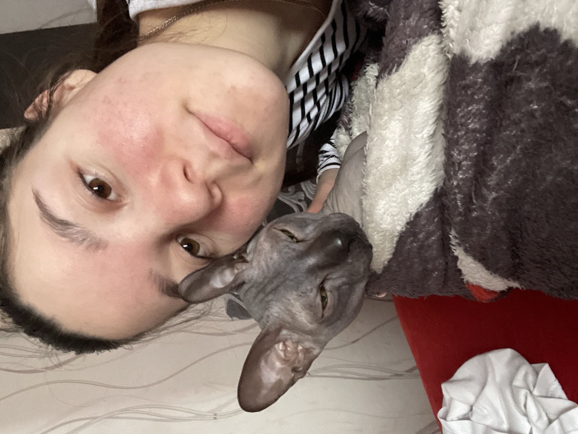 A selfie captured indoors depicts a young woman and a sphynx cat. The woman has fair skin, brown eyes, and dark hair. She is wearing a striped shirt. The cat, a hairless breed, has gray skin with wrinkles. A fuzzy blanket with brown and white patterns is partially visible. A red object is also in the frame, as well as white fabric. The background appears to be a bed with a patterned sheet. There is no information given that the location of the image is in Ольховка, Russia.