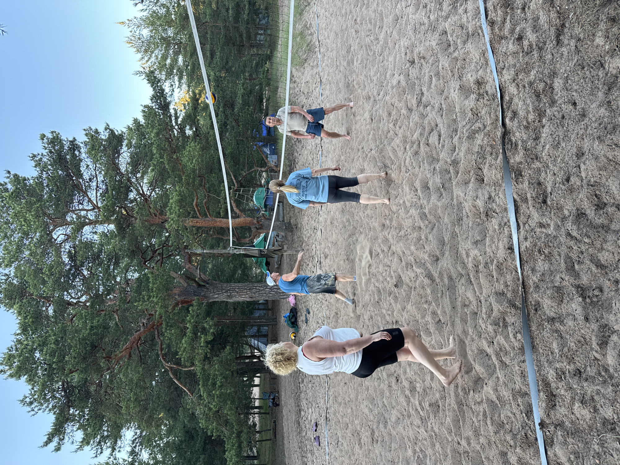 Four people are playing volleyball on a sandy court in Ozerki (Krasnodolinskaya), Russia. The court is situated amidst a pine forest, with tents and camping equipment visible in the background. The sky is clear and blue. The individuals are casually dressed, with two women and two men on the court. One woman, with blonde curly hair, is wearing a white tank top and black shorts. Another woman, with blonde hair tied back, is wearing a light blue t-shirt and dark leggings. A man in a blue tank top and patterned shorts is standing near the net. The fourth person, a man wearing a light brown polo shirt and blue shorts, is on the opposite side of the net. A volleyball is visible in the air above the net. The sand on the court is unevenly distributed, with footprints and debris scattered across it. The trees surrounding the court are tall and dense with green pine needles.