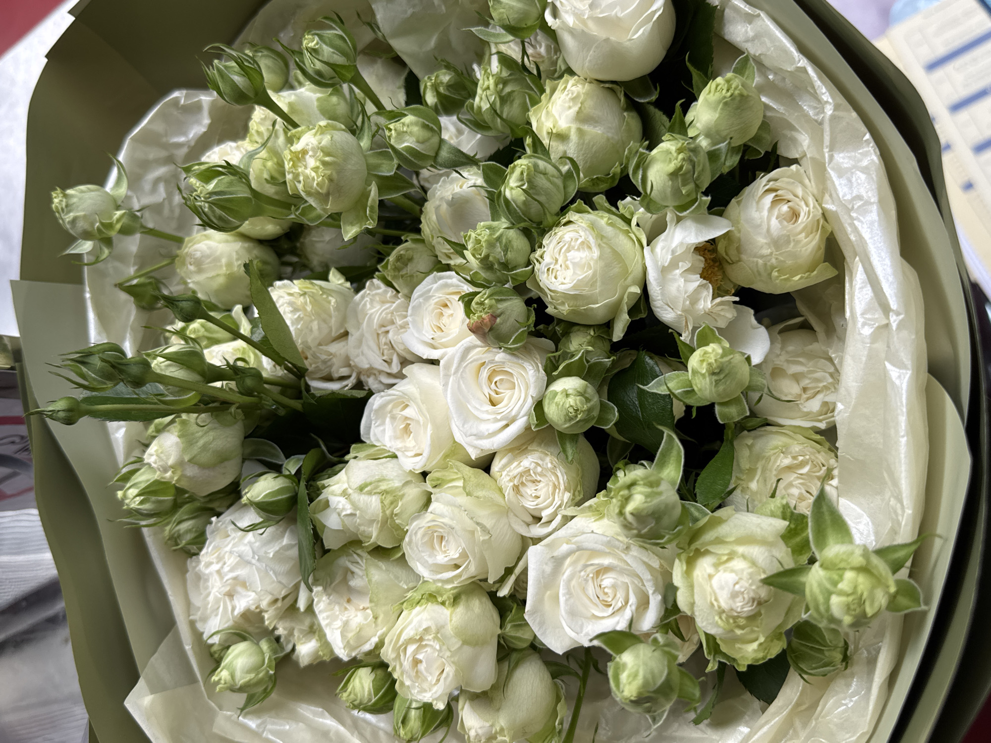 This close-up shot captures a fresh and vibrant bouquet composed primarily of white spray roses and numerous tightly closed rose buds. The flowers exhibit delicate white petals, with some showing a very light green tint, especially on the outer petals and sepals of the buds. Green leaves and stems are interspersed throughout the arrangement, adding to its natural appearance.
The bouquet is artfully wrapped in layers of packaging. The inner layer consists of crinkled, translucent cream or very light green tissue paper, providing a soft texture. This is encased by a sturdier outer wrapping of a muted, darker green material, which frames the flowers beautifully. The overall presentation suggests a thoughtful and elegant gift.
The image is brightly lit, indicating either daylight or a well-lit indoor environment. The background is softly blurred, keeping the focus entirely on the floral arrangement. There is no discernible activity taking place, as it's a still life photograph. The pristine white roses, alongside the many buds, convey a sense of purity, new beginnings, and freshness. No text is visible on the flowers or their packaging. The location context provided is Yerevan, Armenia, though there are no explicit visual cues within the image itself to confirm this.