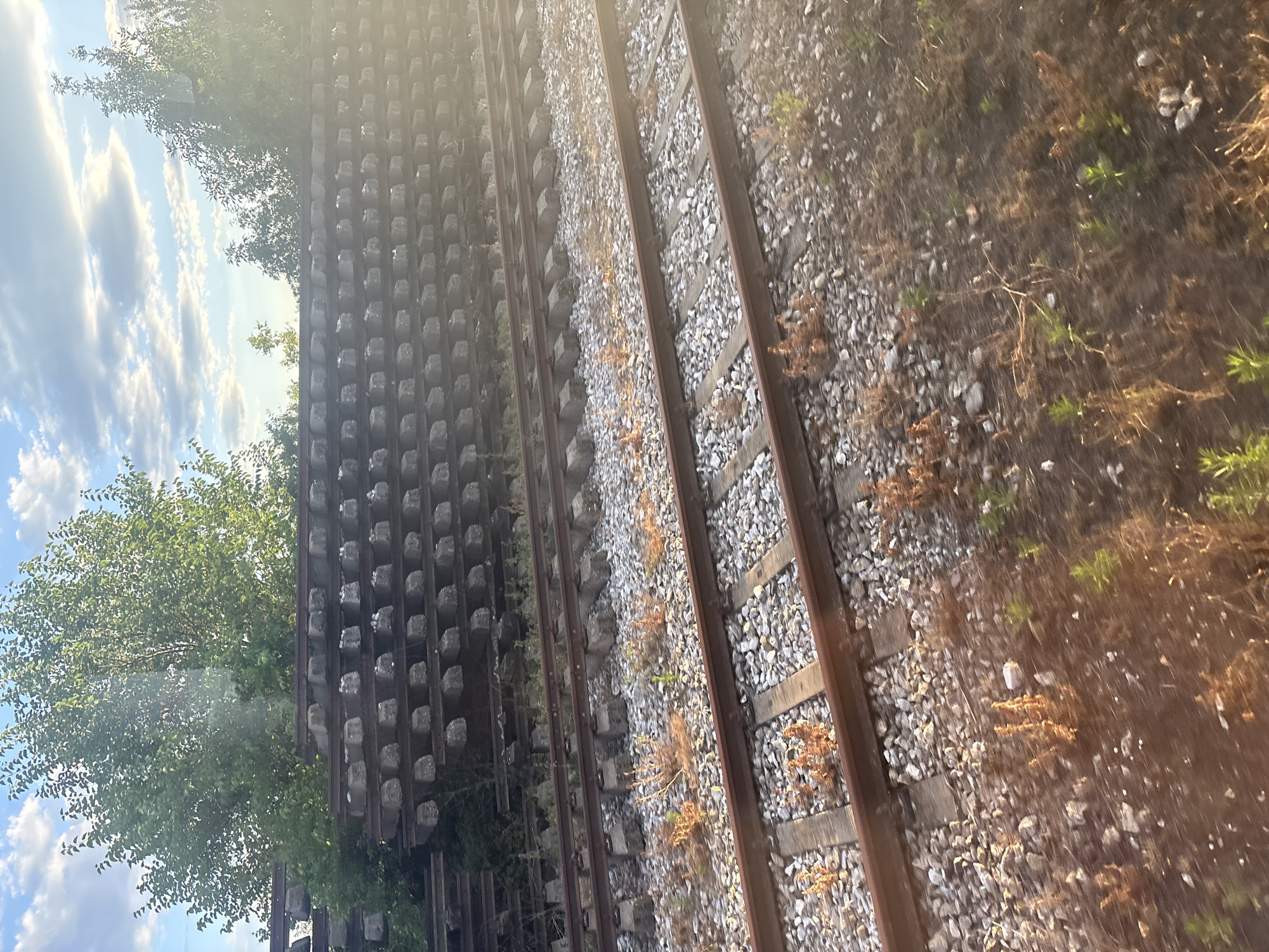 The image depicts an outdoor scene featuring multiple sets of railroad tracks in Saedinenie, Bulgaria. In the background, a large stack of concrete railway ties is visible, interspersed with trees and foliage. The foreground is dominated by two parallel sets of active railroad tracks, characterized by their gravel ballast and wooden or concrete sleepers. Sparse, dry vegetation and some small green shoots are scattered along the edges of the tracks and surrounding ground. The sky above is partly cloudy, with sunlight creating a lens flare effect on the right side of the image, suggesting it was taken during the late afternoon or early evening. There are no people or animals visible in the scene.