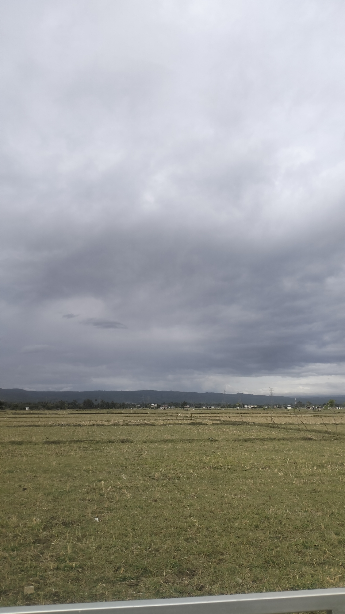 This is a vertical, eye-level, medium shot photograph taken on an overcast day of a rural landscape. In the foreground, a silver metal railing runs horizontally across the bottom of the frame, obscuring the very bottom edge of the image. Behind the railing, a field of dry, yellowish-green grass stretches to the horizon. The field appears to be a harvested rice paddy, with visible rows of stubble and scattered patches of darker soil. There are a few small, white pieces of debris scattered throughout the grass.
In the middle ground, a distant line of trees and buildings forms a hazy horizon. The structures appear to be low-rise houses and other miscellaneous buildings, some with visible roofs and walls. There are also a few tall electrical towers visible in the distance, indicating the presence of infrastructure. The landscape is relatively flat, with the distant trees and buildings fading into the hazy atmosphere.
The background is dominated by a vast, grey, overcast sky. Dark, heavy clouds fill the upper two-thirds of the image, with lighter grey clouds closer to the horizon. The overall lighting is diffused and lacks strong shadows, contributing to the somber mood of the scene. There are no people or animals visible in the photograph.
The scene depicts a rural area near Cotcut, Indonesia, characterized by agricultural fields and a subdued, cloudy sky.