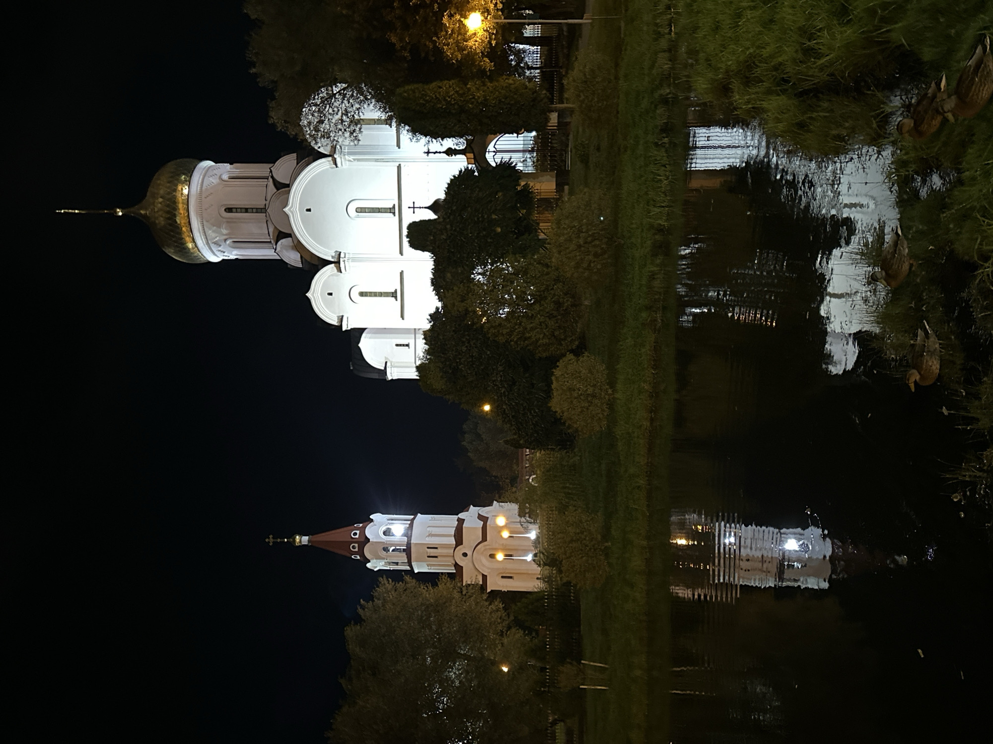 At night, two illuminated Orthodox churches stand on the right side of the image, silhouetted against a dark sky. The larger church on the right has a prominent golden dome. To its left is a white bell tower with a red roof. In the foreground, a body of dark water reflects the lights of the churches and the sky. Ducks are visible on the grassy bank to the right of the water. The scene appears to be the Holy Spirit Cathedral complex in Minsk, Belarus, a notable landmark.