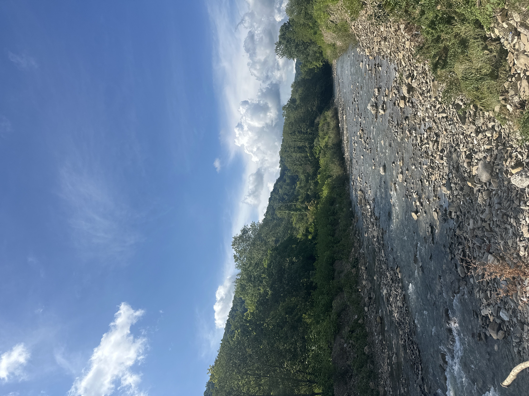 The image depicts a scenic view of a rocky river flowing through a lush, green landscape. The riverbed is filled with numerous stones of various sizes, with clear, flowing water creating ripples and small waves. The riverbanks are densely covered with green vegetation and trees, with a hillside covered in foliage forming the backdrop. Above, the sky is a vibrant blue, dotted with fluffy white clouds. The scene suggests a natural, unpopulated area, possibly a park or wilderness. Based on the visual cues and typical scenery associated with Sochi, Russia, this image likely captures a river in the mountainous regions surrounding the city, such as the Agura River or a tributary in the Caucasus Mountains, a popular destination for its natural beauty and outdoor activities.