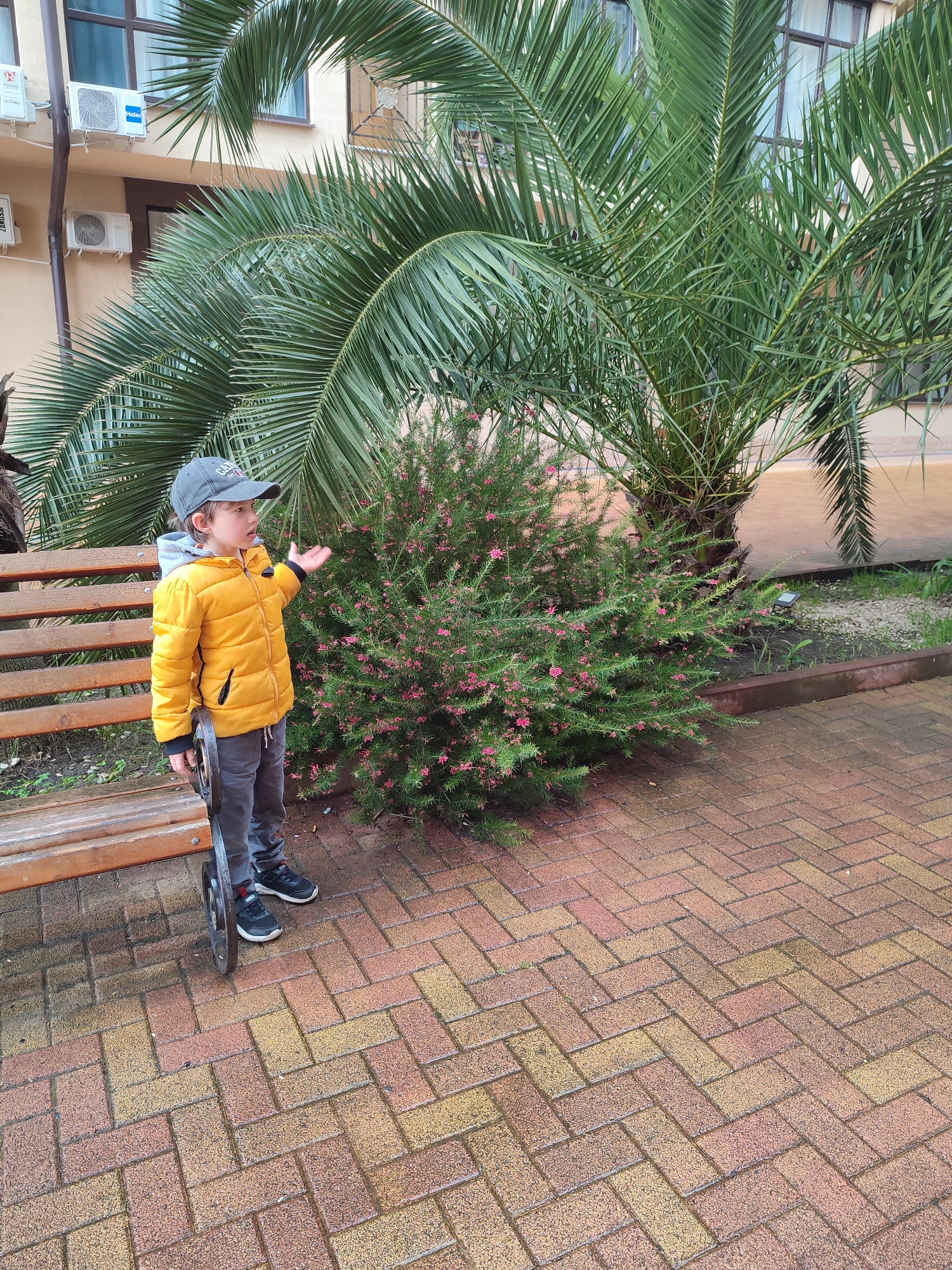 A young boy in a yellow puffer jacket and gray cap stands on a brick walkway next to a wooden bench in Sochi, Russia. He is holding a scooter wheel in one hand and gesturing towards a bush with pink flowers. Behind the bush is a palm tree. A building with air conditioning units is visible in the background. The ground is damp.
