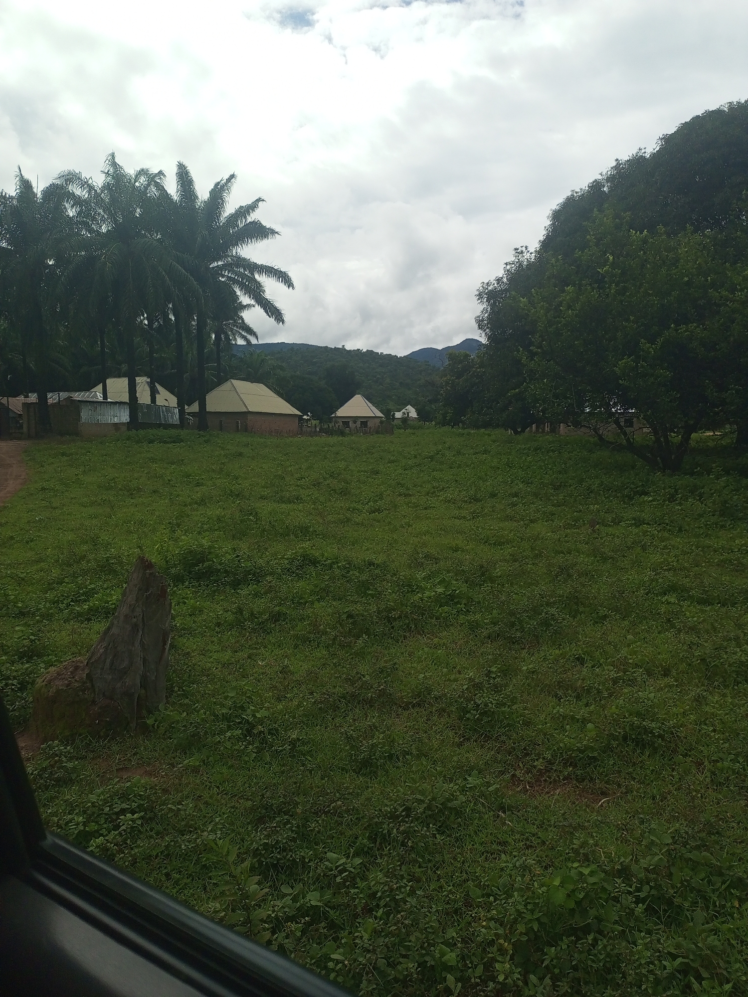 The image depicts a rural village scene in Serti, Nigeria, under a cloudy sky. In the foreground, a patch of dark, rough-textured wood, possibly a fallen tree trunk, rests on lush green grass. The middle ground features a vast expanse of vibrant green grass dotted with low-lying plants and some scattered brown earth. A dirt path is visible on the left side of the frame. Behind the grass, a cluster of buildings with light-colored, conical roofs and some with corrugated metal siding are situated. Tall palm trees stand to the left of these structures, and a dense, dark green tree with a thick canopy dominates the right side of the frame. In the background, rolling hills covered in vegetation are visible, with the outlines of mountains in the distance. The overall impression is one of a peaceful, undeveloped rural environment.