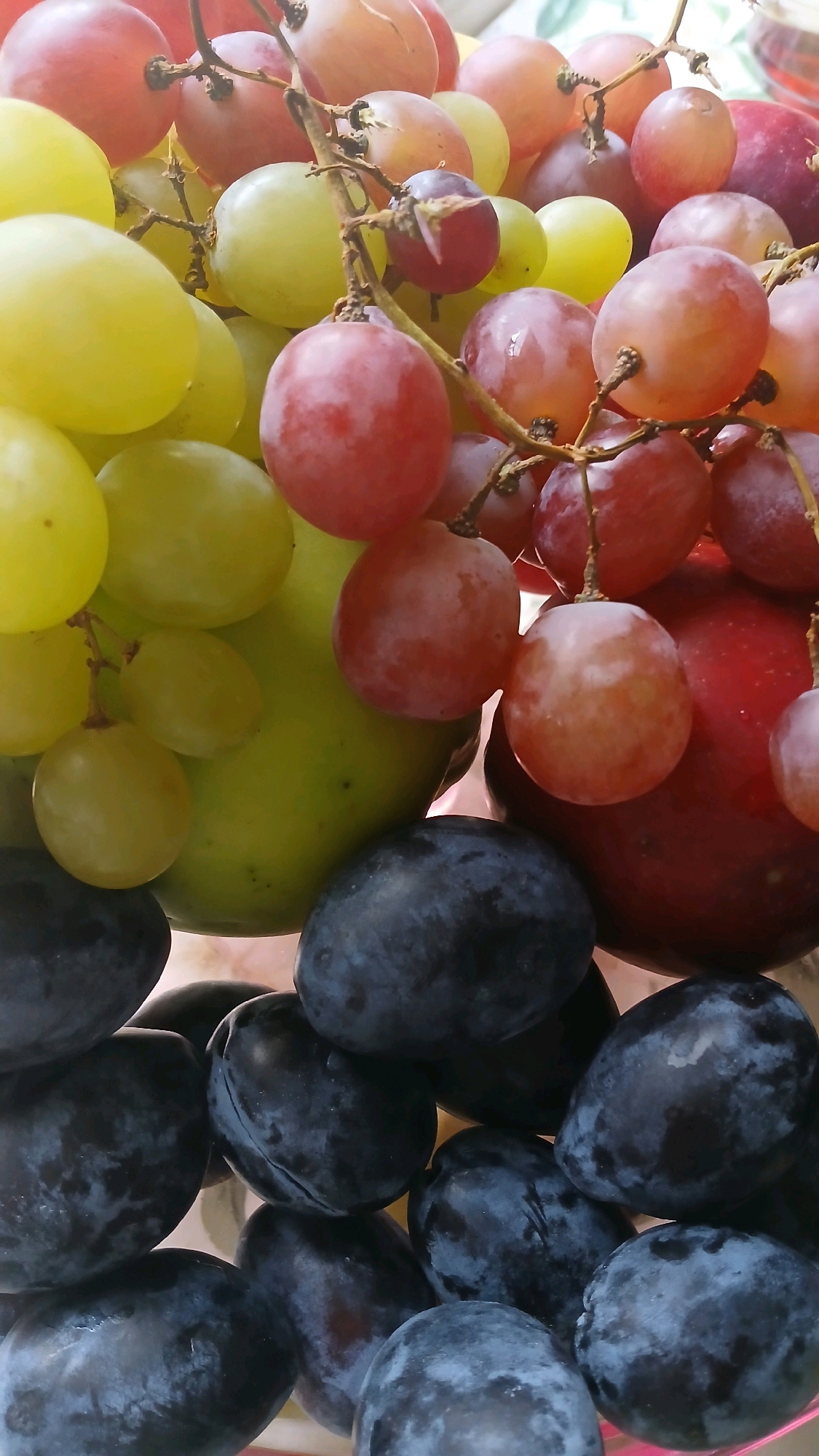 A close-up, top-down shot features a collection of fruits, primarily grapes and plums, with what appears to be an apple also present. The grapes are a mix of red, green, and pinkish hues, clustered together on their stems. The plums are a deep, dark purple, filling the lower portion of the frame. The overall lighting is bright, suggesting an indoor setting or diffused natural light. There is no indication of any specific location within Visaginas, Lithuania, or any people or actions taking place. The focus is entirely on the arrangement and visual texture of the fruit.