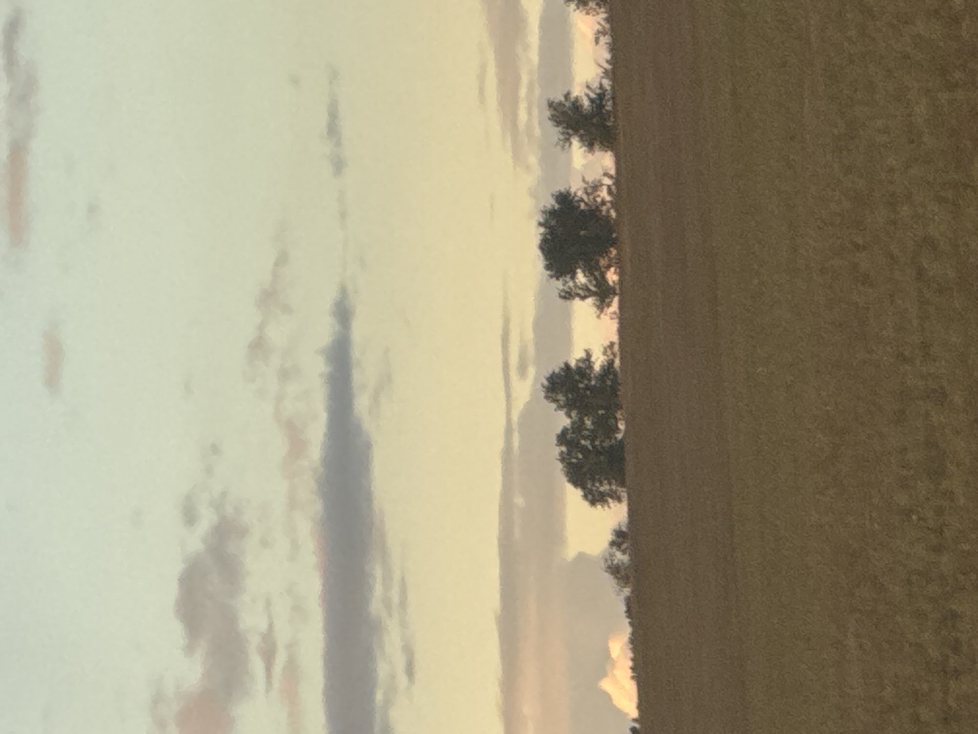 An overcast sky with pale yellow and gray clouds hovers above a treeline of dark green trees silhouetted against a pale yellow horizon. Below the treeline, a golden field of grass stretches into the foreground. The scene depicts a rural landscape in the city of Khutorka, Russia.