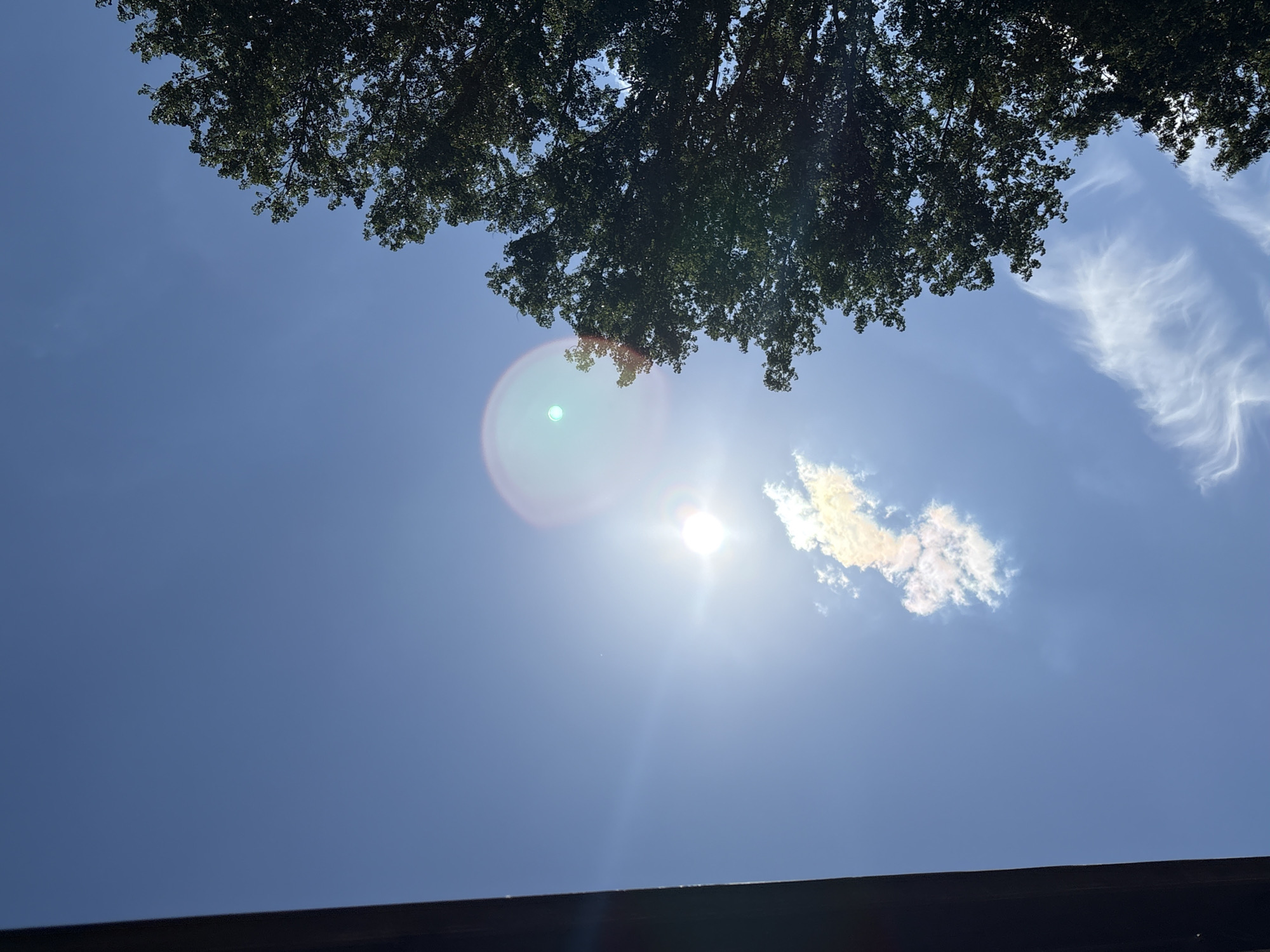 An eye-level outdoor shot looks up towards a clear blue sky with a bright sun. The sun is in the middle left of the frame, with a large lens flare radiating around it. A small, wispy cloud sits just below the sun, illuminated with a golden hue. To the right of the frame, the dark green, leafy branches of a tree fill the upper right quadrant. The lower left corner of the image is partially obscured by a dark, structural element that appears to be a roof overhang.