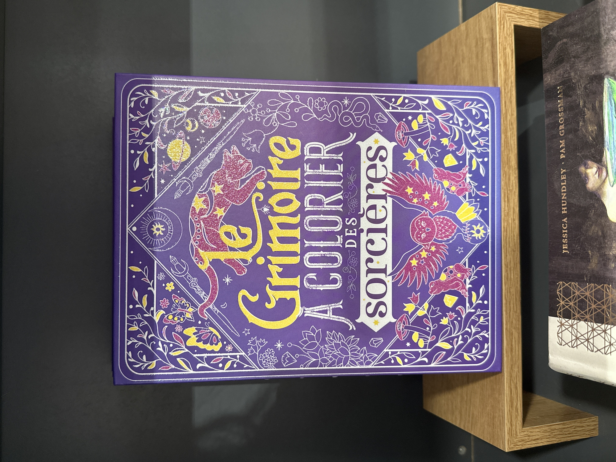 The image shows a close-up view of a purple book titled "Le Grimoire À Colorier des Sorcières" which translates to "The Coloring Grimoire of the Witches." The book's cover features intricate illustrations in pink, yellow, and white, including a stylized cat, an owl, a frog, mushrooms, flowers, and celestial elements like moons and stars. The book is placed on a light-colored wooden shelf, which is itself positioned on a darker surface. Below the book, another book is partially visible, with text that reads "JESSICA HUNDLEY · PAM GROSSMAN". The background is dark and appears to be a wall or shelf. There are no people or discernible actions depicted in the image. The lighting suggests an indoor environment, possibly a bookstore or a personal collection.
The specific location in Amiens, France, is not determinable from the provided image.