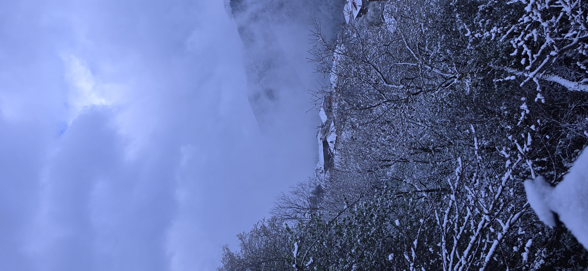 The image depicts a winter scene near Breze, Bulgaria. On the right, trees and bushes are laden with snow. To the left, the sky is overcast with thick clouds, and some buildings can be seen through the trees. The scene is still and quiet, likely in a remote or undeveloped area. No people are visible.
