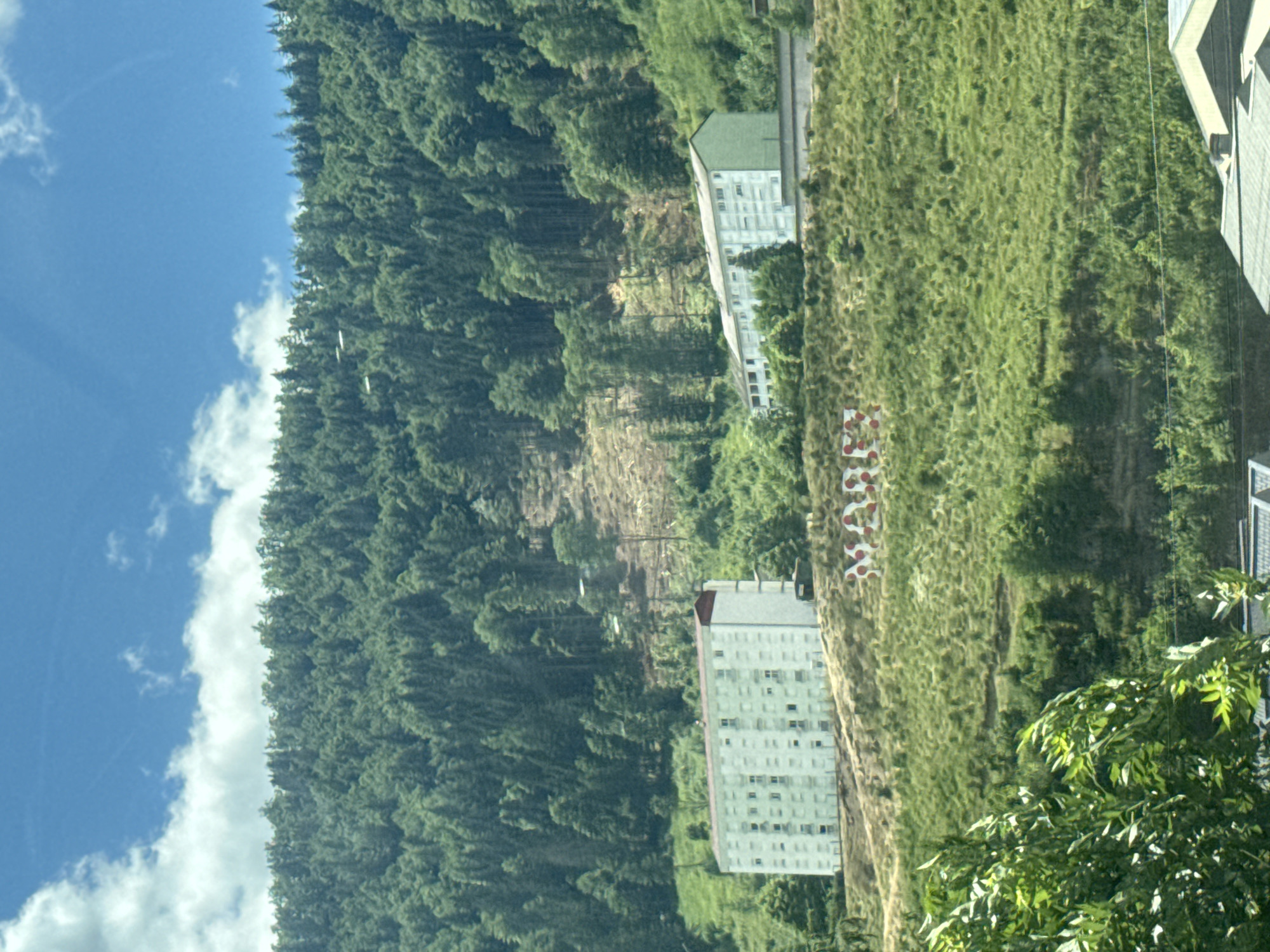 In the city of Hauts de Bienne, France, a view captures a hillside densely covered with coniferous trees. The sky above is blue with scattered white clouds. Two apartment buildings, pale green with white accents and red roofs, are situated on the lower part of the wooded slope. In front of these buildings, on the grassy hillside, large red and white letters spelling out "MAXX" are visible. The terrain appears steep and uneven, with some areas of exposed earth and rock interspersed among the vegetation. In the foreground, lush green foliage obscures part of the lower portion of the scene, and hints of rooftops of other structures are visible at the very bottom.