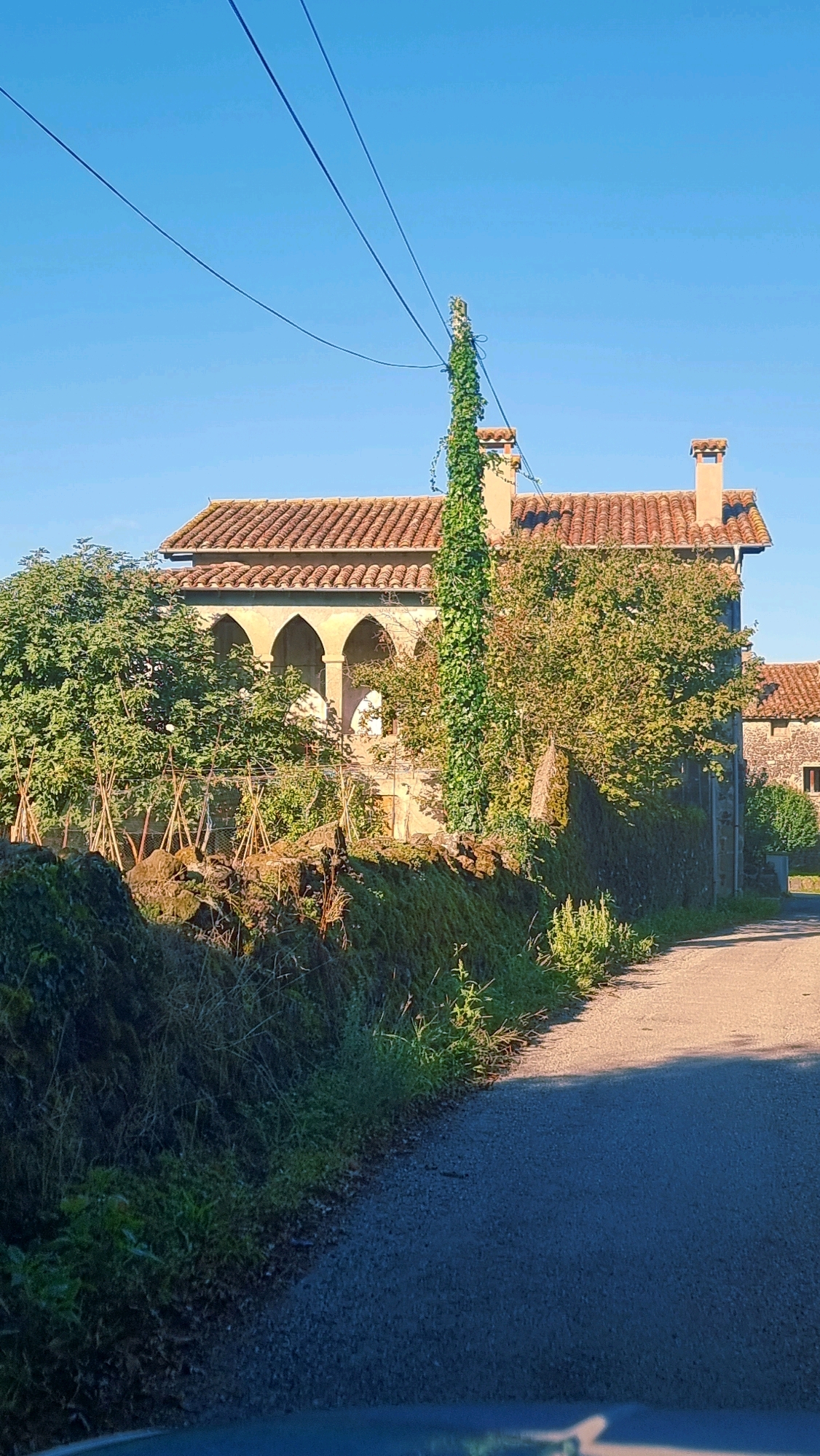 This is a full, eye-level shot of a country road in Sant Joan les Fonts, Spain. A tarmac road runs diagonally from the bottom right to the center of the image. To the left of the road is a low, moss-covered stone wall bordering a rocky embankment. Behind the wall, a two-story stone building with a red-tiled roof is visible. The building features an arched loggia on the first floor, partially obscured by lush green foliage. A tall, thin pole, completely covered in ivy, stands near the building, with power lines stretching across the clear blue sky above. A chimney rises from the roof of the building. The scene is bathed in warm sunlight, casting long shadows.
