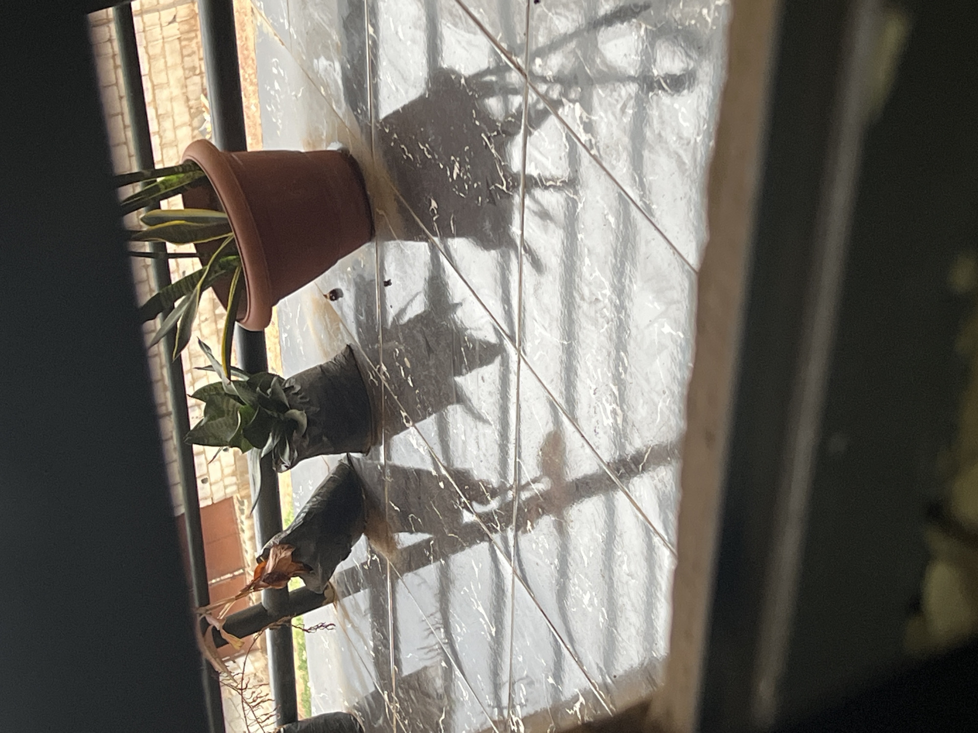 The image shows a view looking down on a window in what appears to be an indoor setting. The window has metal bars on the outside. Three potted plants are attached to the outside of the window bars. The pots are brown terracotta. The plants in the pots are different types of greenery. Shadows of the plants and bars are cast onto the frosted glass or tile surface below the window. Based on the metadata, this image was taken in Abuja, Nigeria.