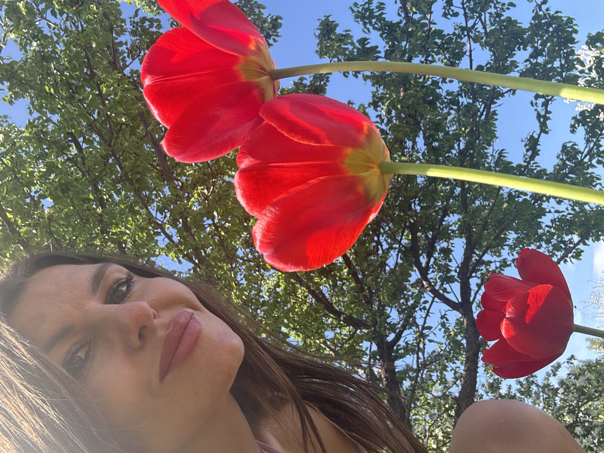 A low-angle, medium-shot photograph depicts a woman's face in the foreground, with two large red tulips prominently displayed above and behind her, along with a third tulip to the right. Trees with green leaves and a clear blue sky form the backdrop. The woman has dark hair, light skin, and is wearing lipstick. The image appears to be taken outdoors on a sunny day. No further information regarding the location being Dubovaya, Russia, is definitively discernible from the image.