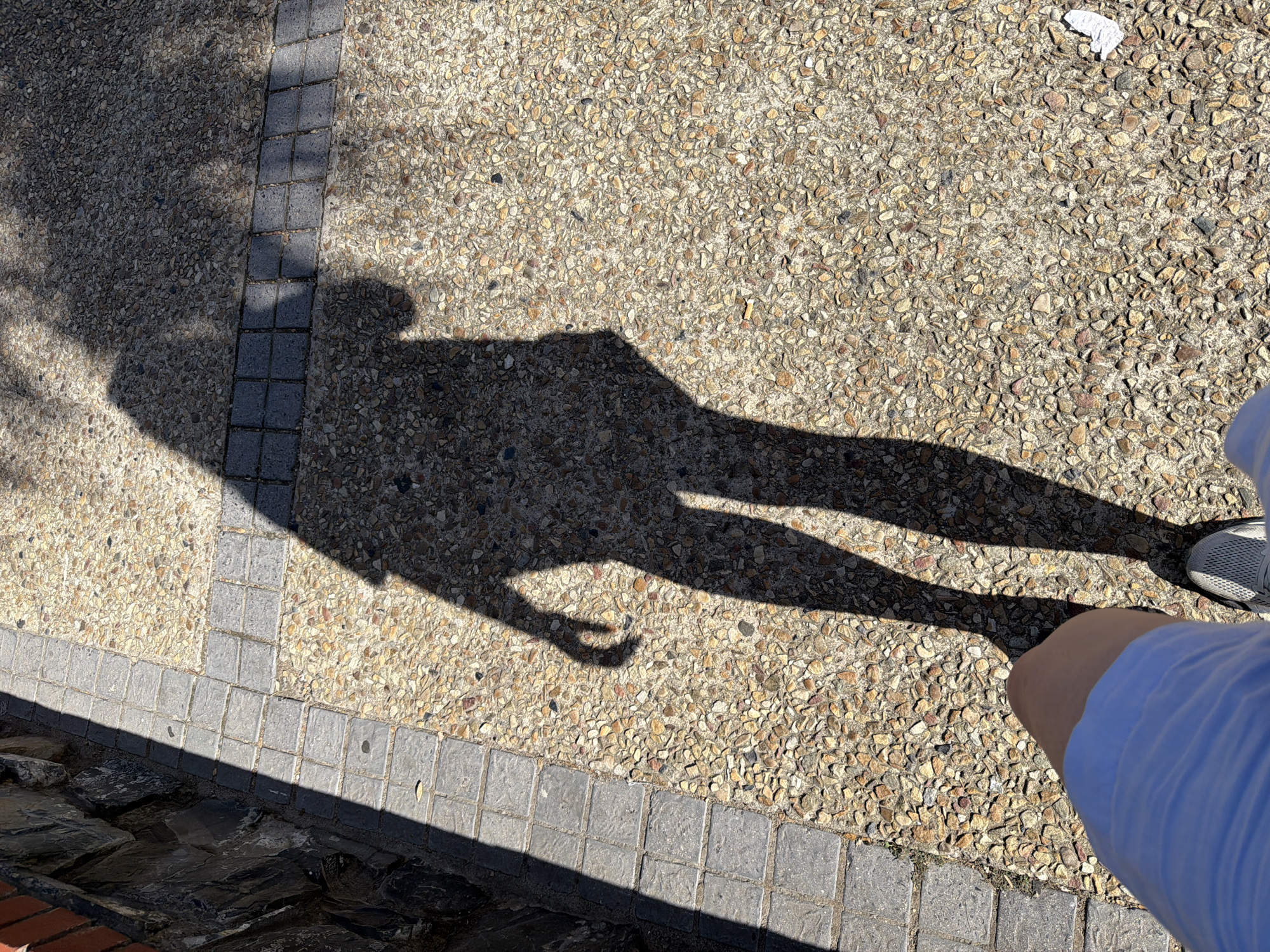 The image shows a shadow of a person on a paved surface. The pavement is made of small, light-colored stones and bordered by gray square tiles. A piece of white trash lies on the surface. A portion of a person's leg, clad in a blue shirt and a gray shoe, is visible in the lower right corner. The location could not be determined as Cape Town.