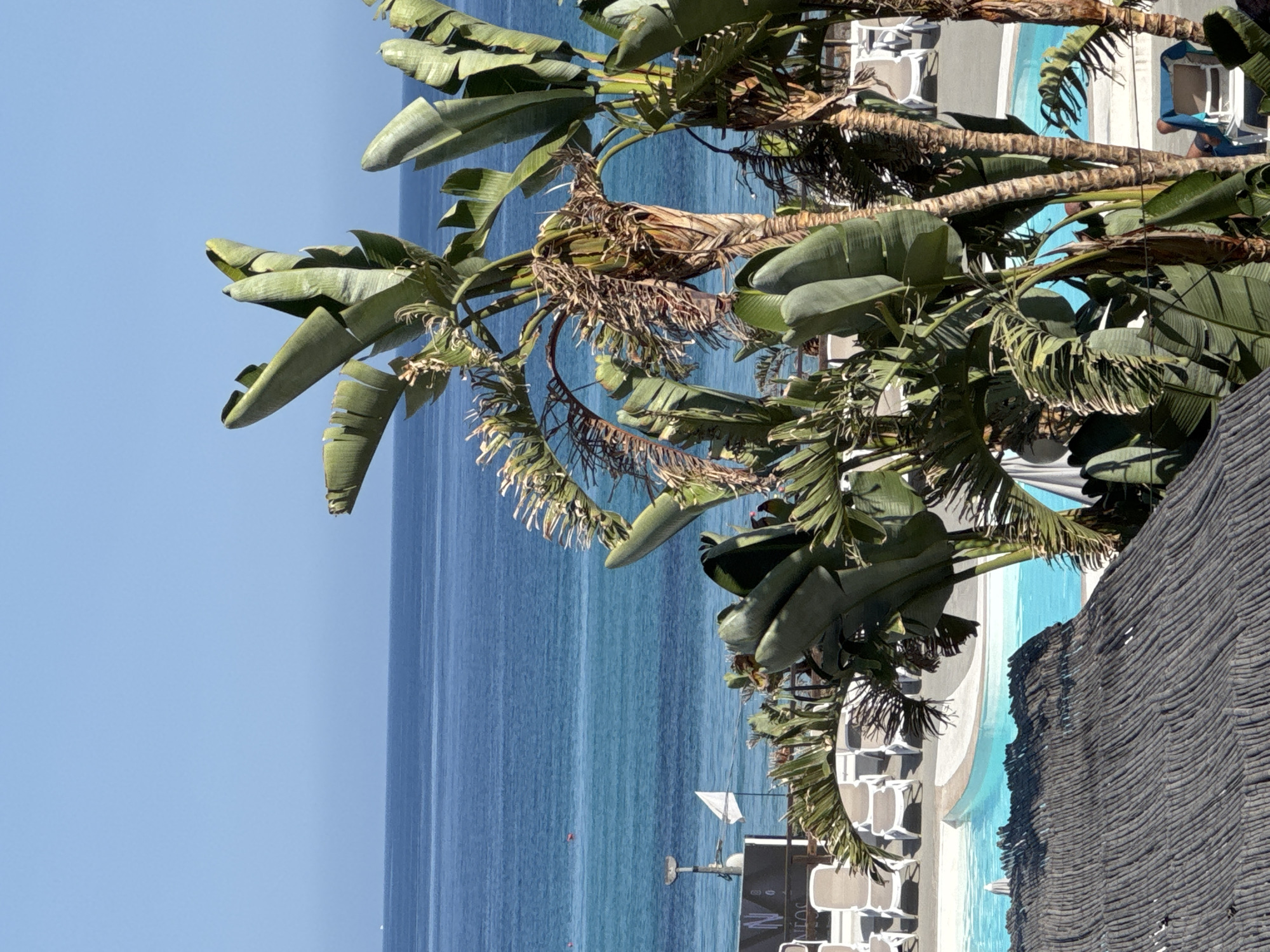 The image depicts a tropical resort scene with palm trees in the foreground, framing a bright blue swimming pool and the calm Mediterranean Sea. The beach area is visible with lounge chairs set up. The sky is clear and blue. On the left side of the image, a section of a building with signage is visible, with the word "N" prominent, likely part of "Nautilus" based on the context of Isola delle Femmine, Italy, which is known for its tourist facilities and proximity to the sea. The overall impression is one of a sunny, relaxing vacation destination.