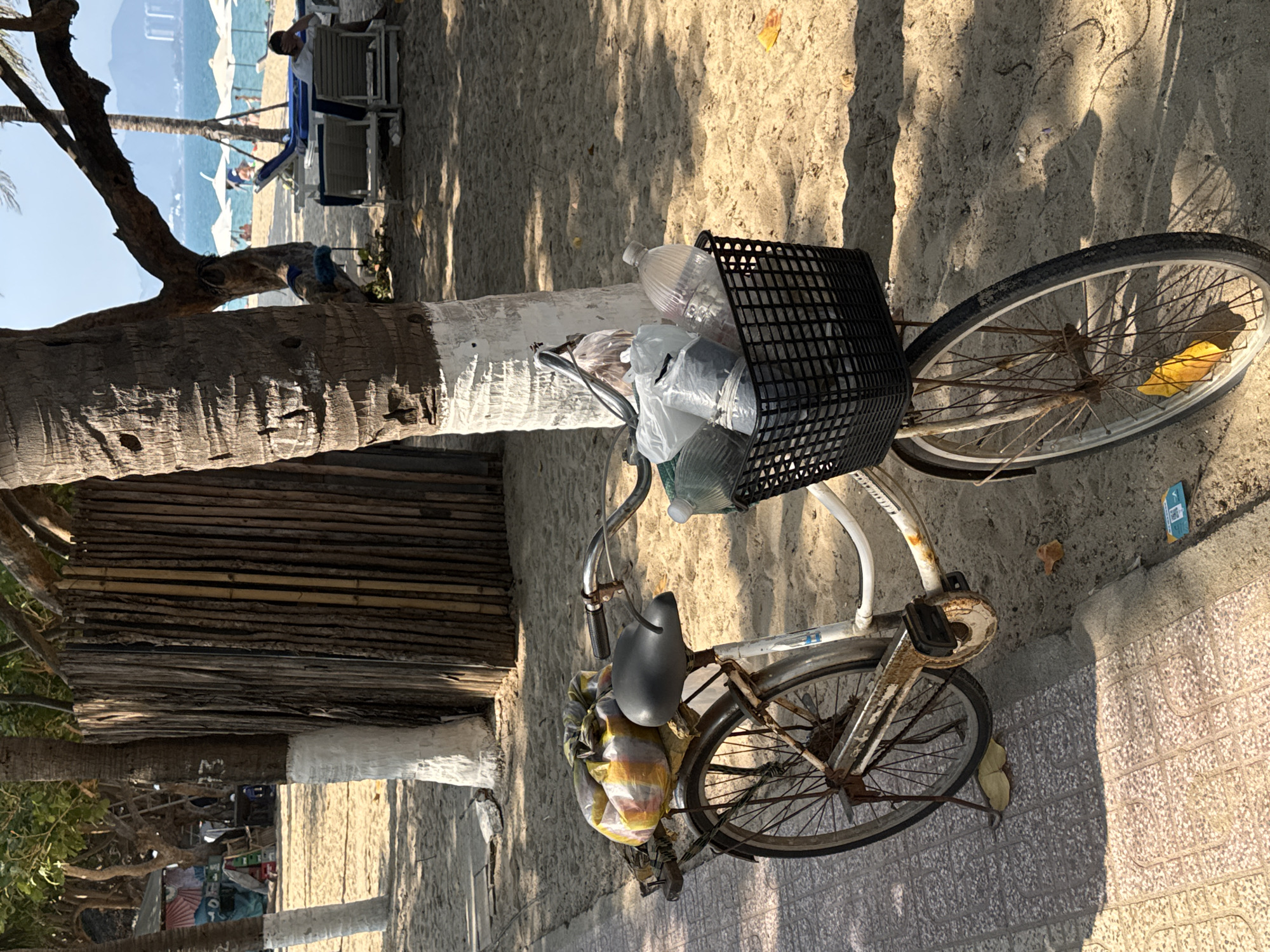 The image depicts a bicycle laden with items, parked on a street near a beach. The bicycle is white with a black basket in the front filled with plastic bottles and bags. A striped bag hangs from the seat. The bicycle appears old and slightly rusty. The setting is outdoors, near a sandy beach with lounge chairs and palm trees visible in the background, suggesting a resort or coastal area. A large palm tree trunk, partially painted white, is next to the bicycle. The ground transitions from sand to a tiled or paved surface. The location is in the city of Unknown, Unknown.