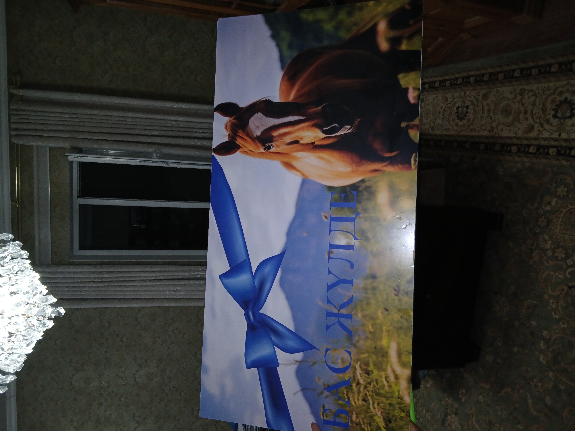 A panoramic poster featuring a horse and a blue ribbon is displayed horizontally. The poster is propped up on a dark, rectangular object, likely a table or display stand, in what appears to be a room. In the background, a chandelier hangs from the ceiling, and a window with draped curtains is visible. The floor is covered with a patterned carpet. The poster itself shows a close-up of a brown horse with a white marking on its forehead, set against a backdrop of mountains and a field of tall grass. A blue ribbon tied into a bow is also prominent in the image. There are no people visible in the scene. The location is specified as Shymkent, Kazakhstan.