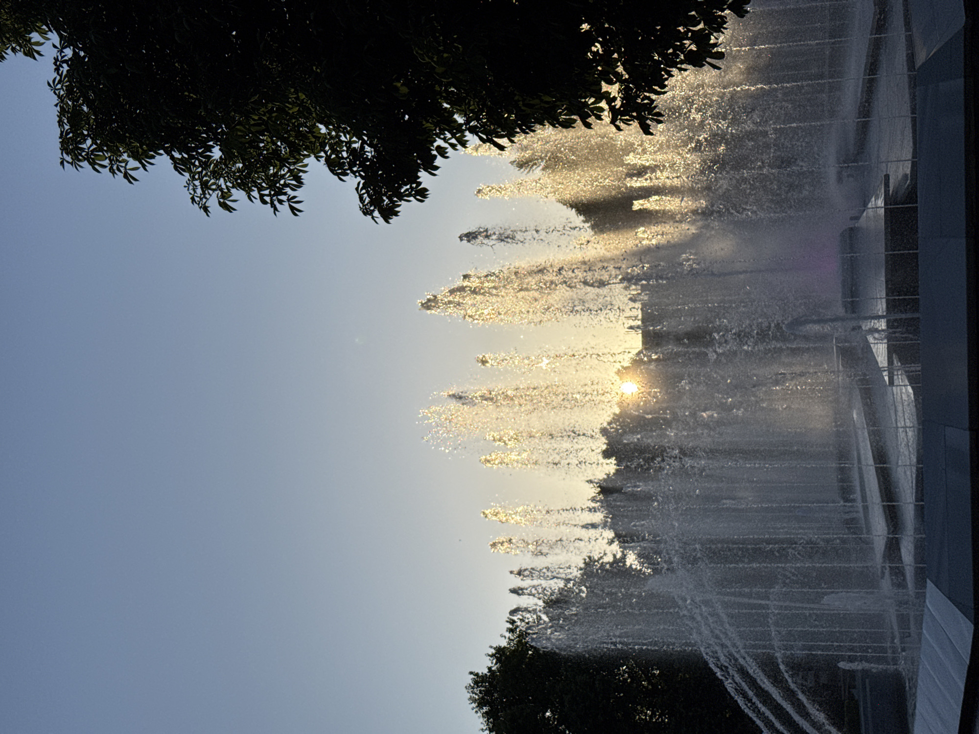 The image captures a dynamic fountain in the city of Pleven, Bulgaria, during sunset. The setting sun, visible behind the water jets, casts a warm, golden glow that illuminates the spray, creating a shimmering effect. Tall, vertical streams of water erupt from the fountain, some reaching higher than others, forming a lively spectacle. Silhouetted trees frame the scene on both the left and right sides, with lush foliage suggesting a park or garden setting. The sky above is a clear, pale blue, transitioning to a softer hue near the horizon. The fountain itself appears to be built on multiple levels, with visible structures and platforms beneath the cascading water. The overall impression is one of natural beauty and urban serenity, enhanced by the atmospheric lighting of the evening sun.