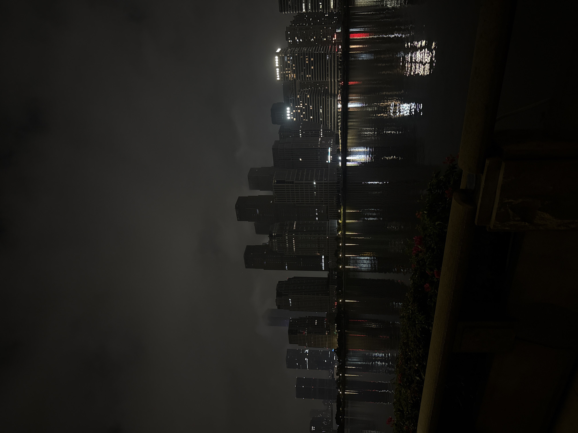 The image depicts a nighttime cityscape of Haizhu District, China, seen across a body of water. A dense collection of modern high-rise buildings with illuminated windows and architectural lighting dominates the skyline. The buildings are of varying heights and architectural styles, with some featuring sleek, modern designs and others appearing more traditional. Reflections of the city lights shimmer on the dark, calm surface of the water. In the foreground, a line of lush green bushes with scattered red flowers runs along the edge of a stone embankment. The sky is dark and overcast, contributing to the moody, nocturnal atmosphere. There are no people or vehicles visible in the scene.