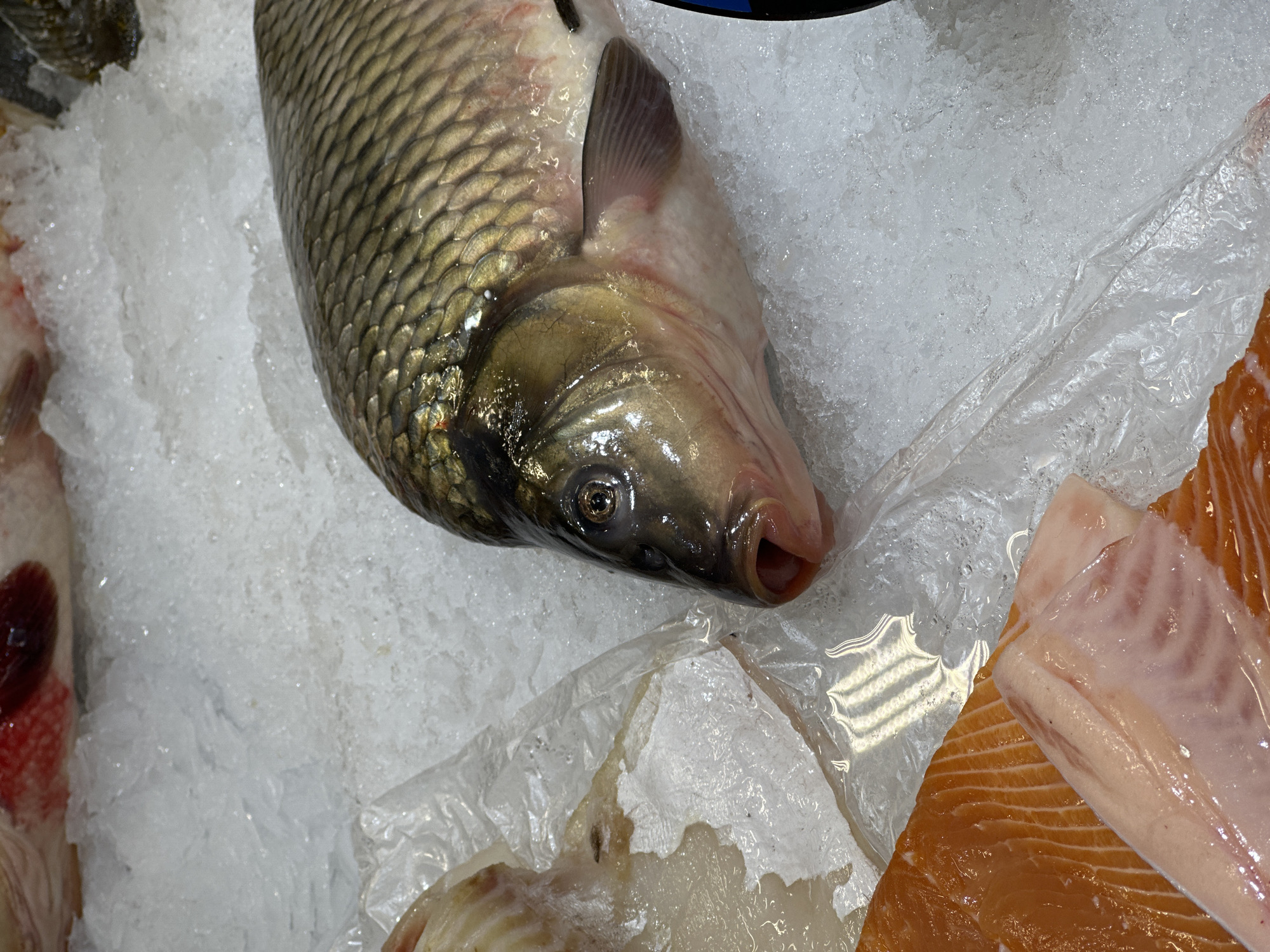 The image shows a close-up of a fish display, likely at a market or grocery store. The main subject is a whole, uncooked fish, potentially a carp, lying on a bed of crushed ice. Its scales are visible and its eye is open. To the right, there are slices of salmon. The background consists mainly of crushed ice and possibly other seafood. The location is specified as Khimki, Russia.