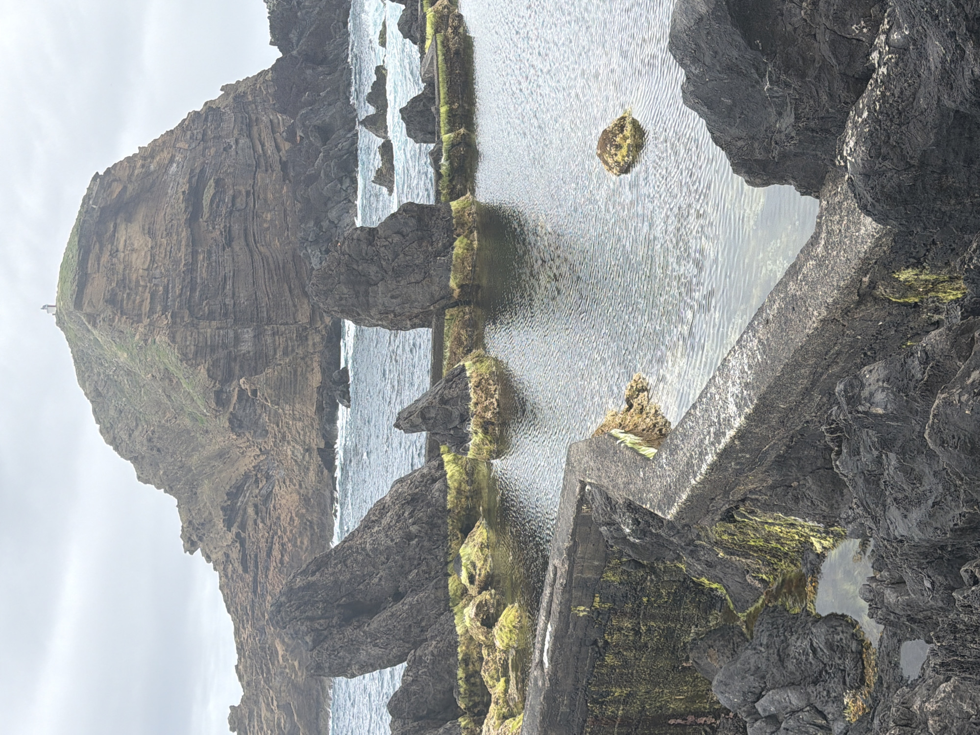 The image shows a natural rock pool with moss and other small plants growing on and around the rocks and concrete sides. The location is Porto Moniz, Portugal. A rocky cliff is present on the left side of the image, and the ocean is visible in the background. There are no people present in the scene.