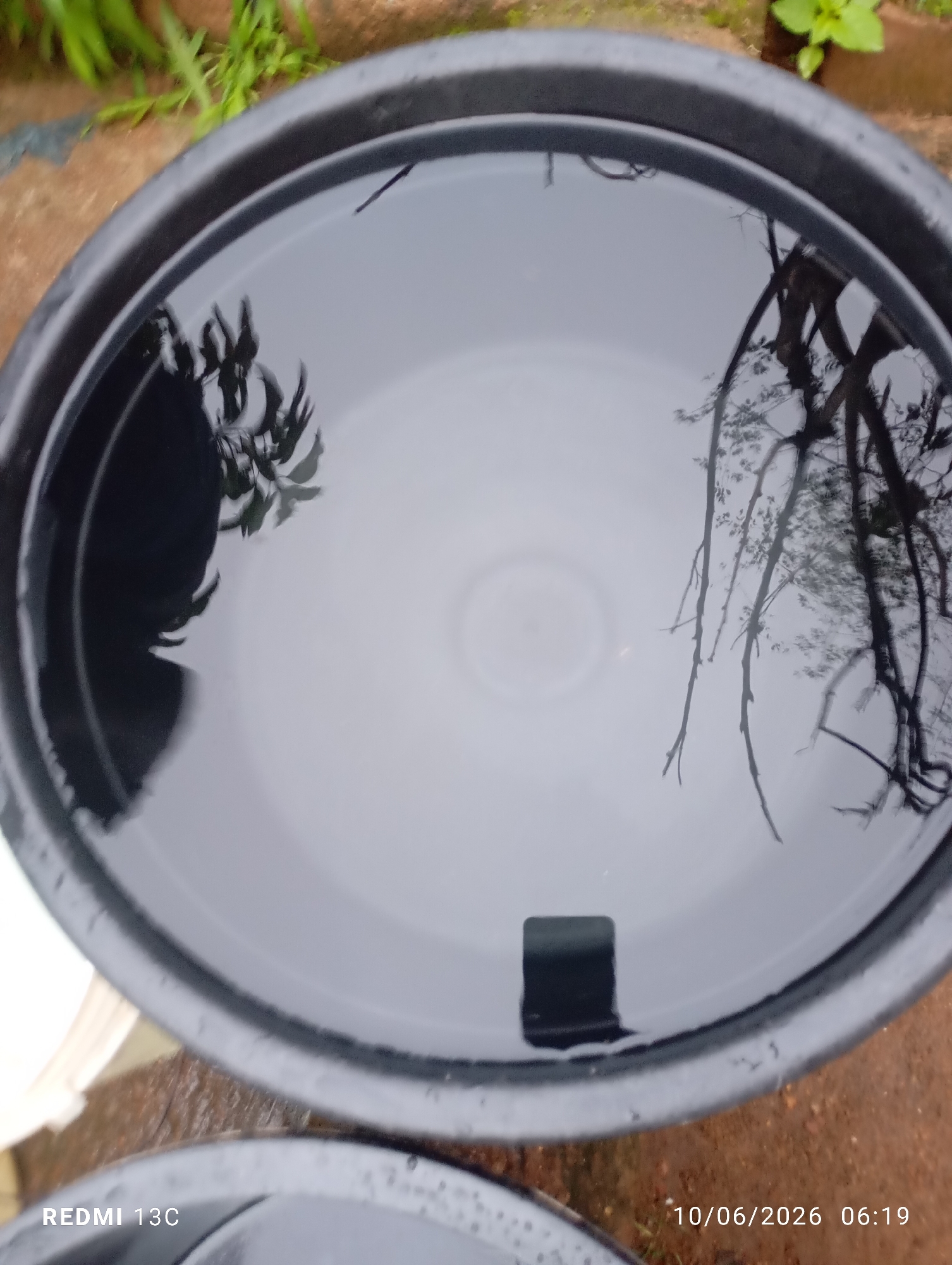 A high-angle, eye-level shot captures a black plastic basin filled with water. The water reflects the surroundings, showing branches of a tree and foliage. The basin is positioned outdoors, with dirt and some green plants visible in the background. A timestamp in the bottom right corner reads "10/06/2026 06:19", and "REDMI 13C" is printed in the bottom left. The scene appears to be in an outdoor setting, possibly a yard or garden.