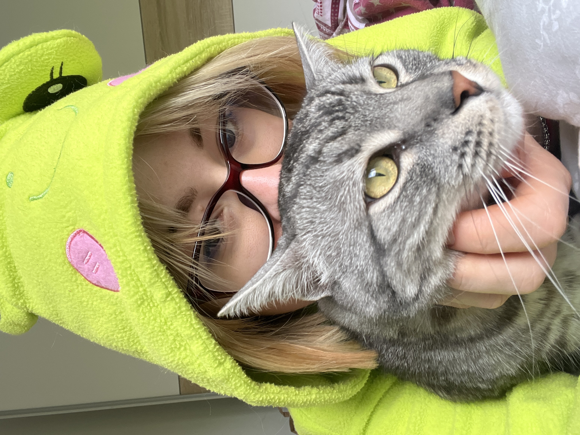 A person wearing a lime green hooded sweatshirt with pink ear-like details and a black insect-like design on the hood, and red glasses, is holding a gray tabby cat. The cat is looking upward with green-yellow eyes and its whiskers are visible. The person's hand is visible holding the cat's face. The background is a blurred mix of white and other colors. The location in the city of Boreti, Montenegro cannot be determined from the image.