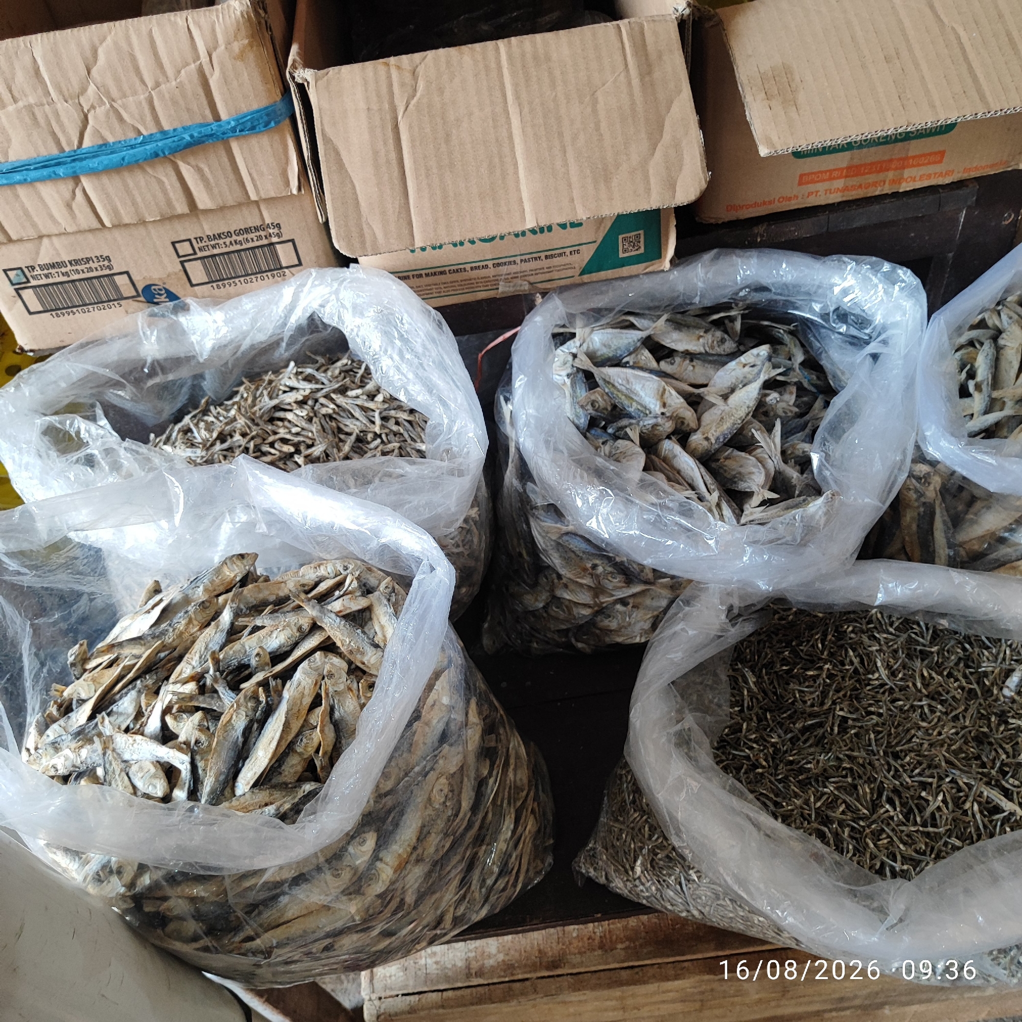 This image shows a market stall in Pembaharuan, Indonesia, with several large plastic bags filled with dried fish. The bags are of varying sizes and contain different types of dried fish, from small anchovies to larger, whole fish. The fish appear to be on display for sale. Behind the bags of fish, there are cardboard boxes. Some of the boxes have labels with text in Indonesian, indicating product names and weights. The lighting suggests it is daytime. A timestamp "16/08/2026 09:36" is visible in the bottom right corner of the image.