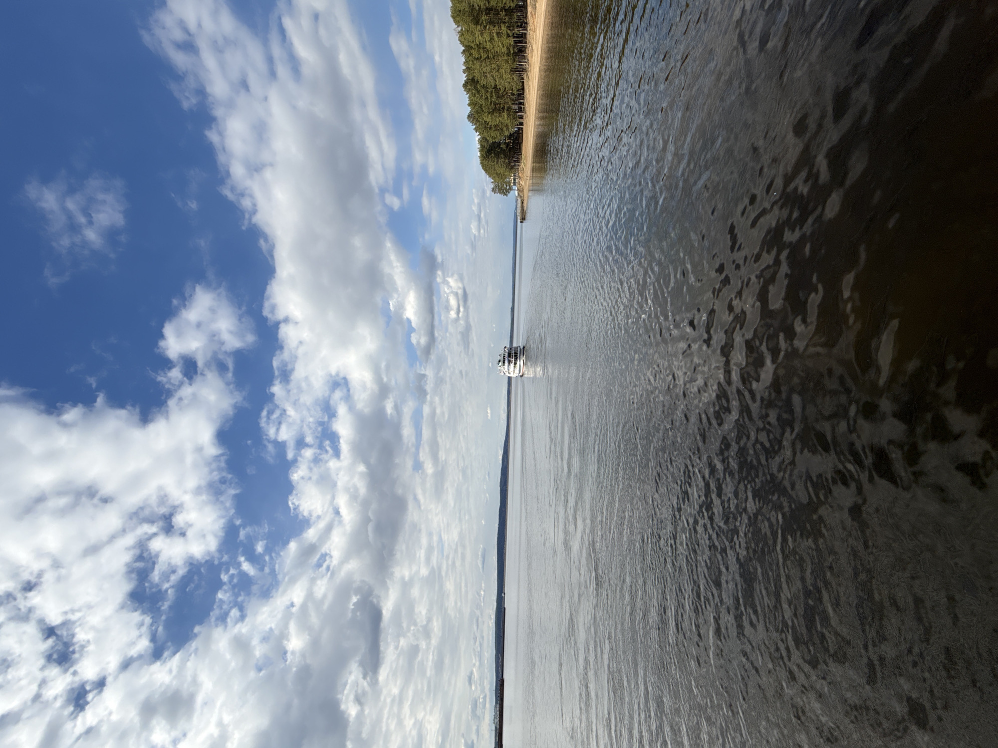 The image displays a serene landscape featuring a wide expanse of water under a partly cloudy blue sky. A distinct horizon separates the sky from the water. Along the left side of the frame, a long, forested shoreline is visible, with dense green trees extending down to a narrow strip of land beside the water.
In the middle distance on the water, a white, multi-deck passenger boat is actively cruising, leaving a faint wake behind it. The boat appears to be a small riverboat or tour vessel. The water's surface is covered with gentle ripples, reflecting the bright sky and creating variations in light and shadow; the water appears darker on the right side, possibly due to depth or lighting conditions.
The scene depicts a calm daytime outing. The weather is clear and bright, with scattered cumulus clouds in the sky. No individuals are distinctly visible, either on the boat or ashore, but the presence of the passenger boat implies human activity. There is no visible text. The setting is consistent with a large body of water, such as a lake or river, in the Chaikovsky, Russia area.