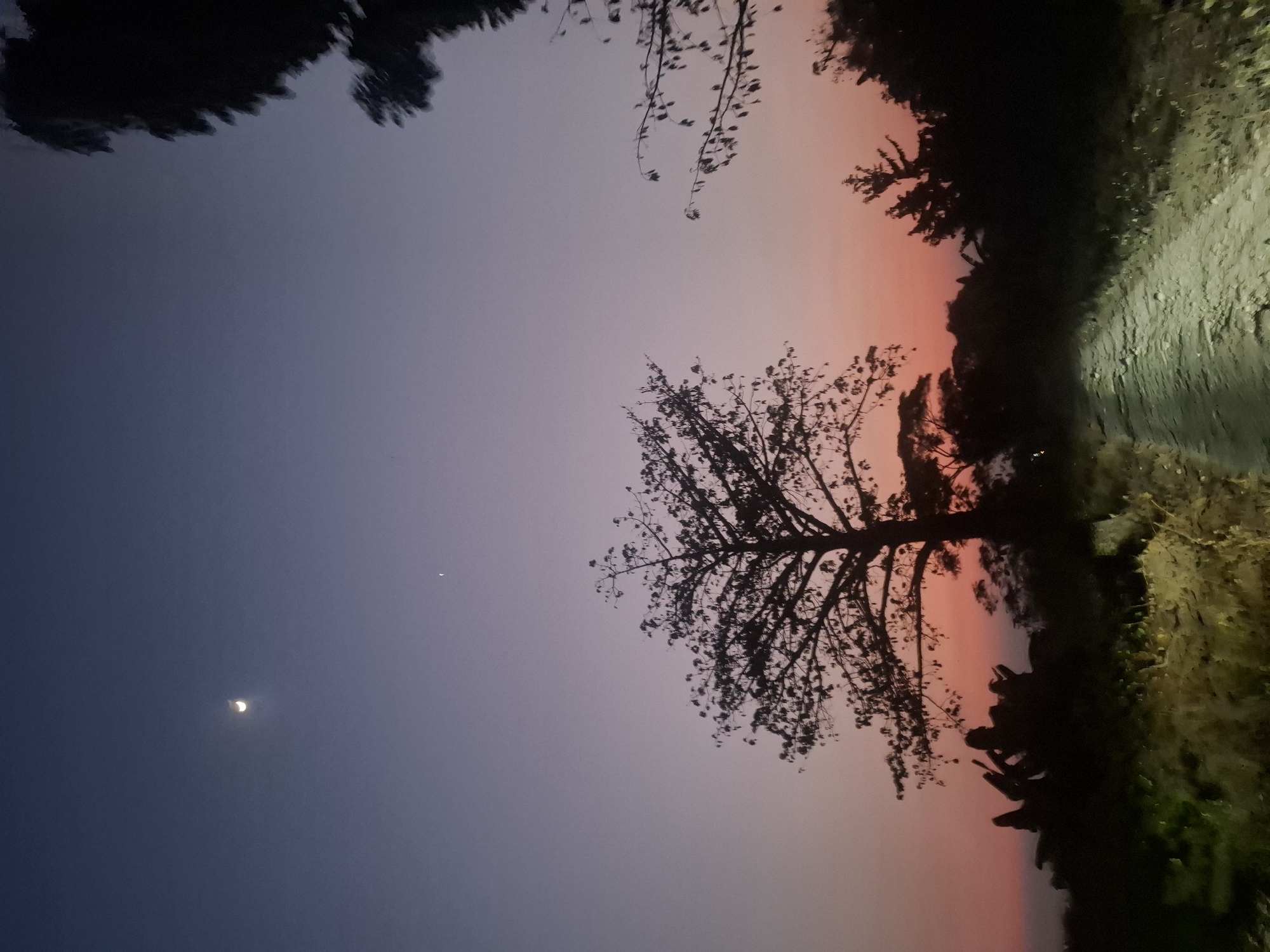 The image depicts a twilight scene in Brangsi, Indonesia. A dirt path, illuminated by artificial light, leads into the frame from the bottom right. The sky transitions from a deep blue at the top to hues of orange and pink near the horizon. A crescent moon is visible in the upper left portion of the sky, accompanied by a small, bright point of light, likely a star or planet.
In the mid-ground, a large tree with sparse foliage stands silhouetted against the colorful sky. To the left of this tree, a group of three motorcycles are parked, their riders appearing as dark silhouettes. Further in the background, more trees and vegetation are visible as dark shapes against the fading light. The foreground and sides of the path are lined with grass and plants, some of which are also illuminated by the light source. The overall impression is of a rural or semi-rural landscape at dusk or dawn.